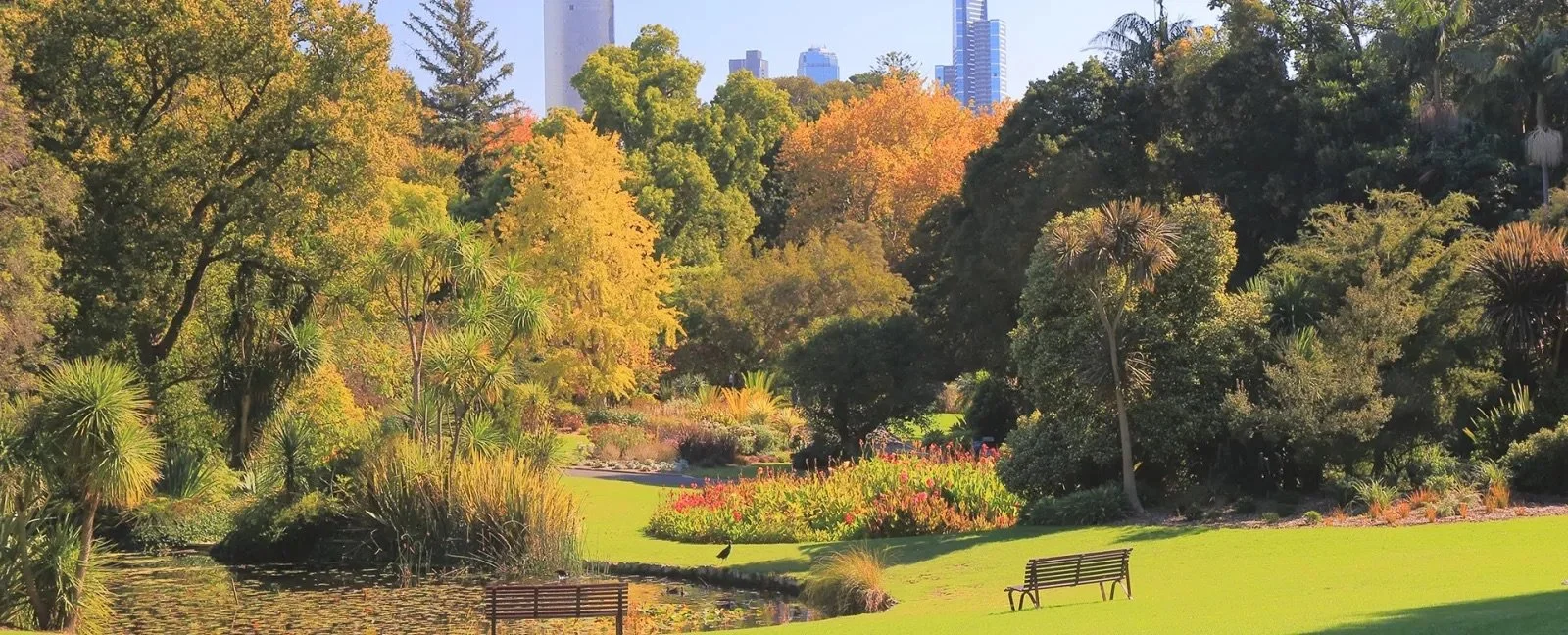 melbourne 2.jpeg