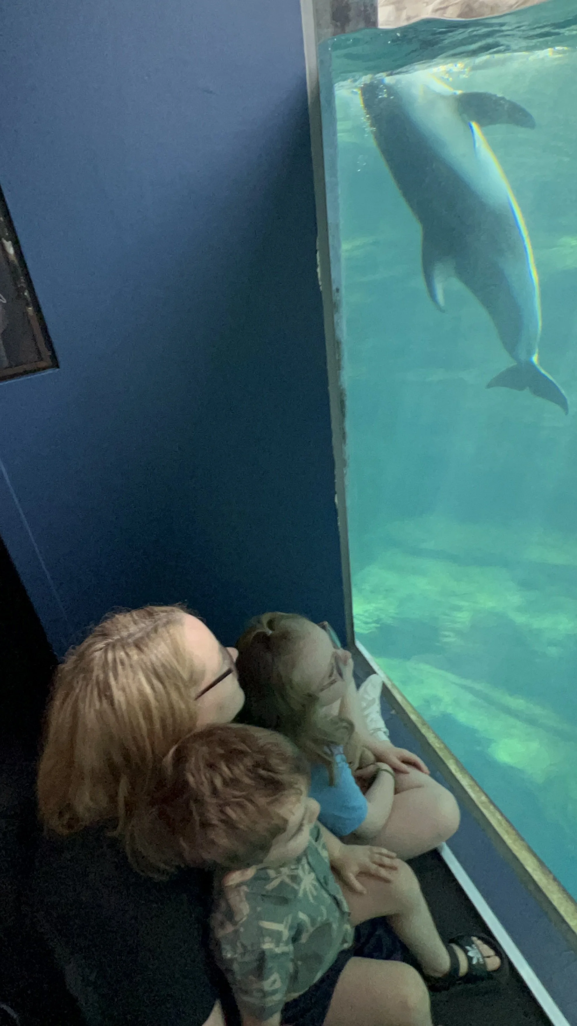 Mum sitting quietly with her two young children watching a dolphin swim past the glass at Osaka Aquarium Kaiyukan