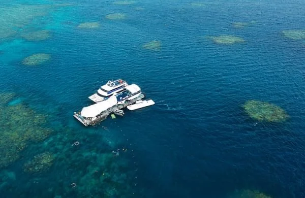 fitzroy island tour 2.jpeg