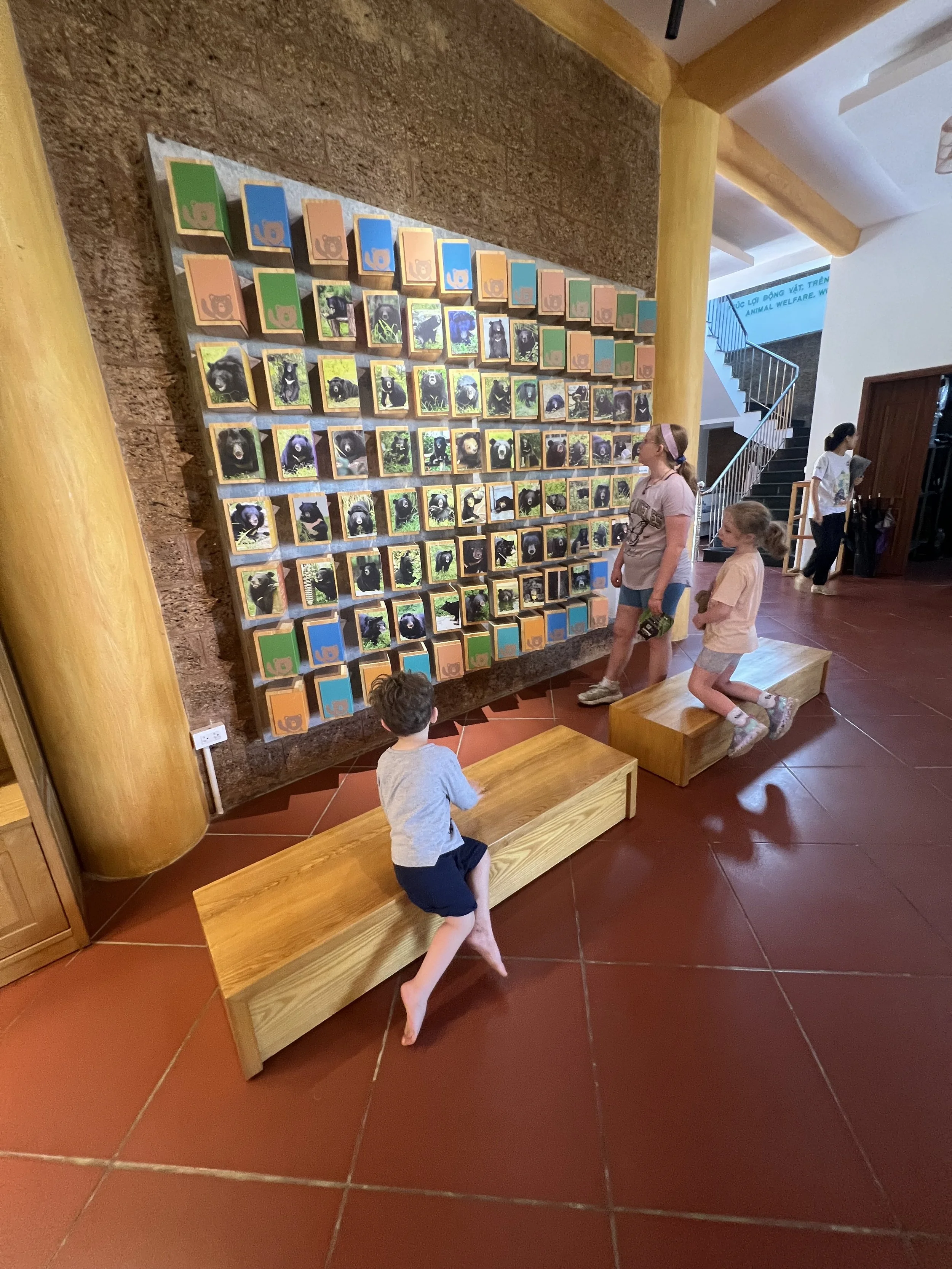 Kids studying a wall display of endangered species at a conservation centre in Cuc Phuong, Vietnam