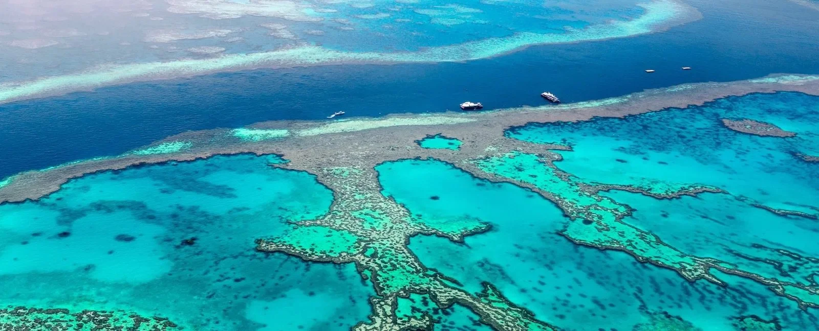 cairns gbr.jpeg