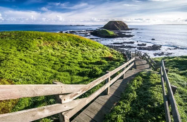 philip island optional.jpeg