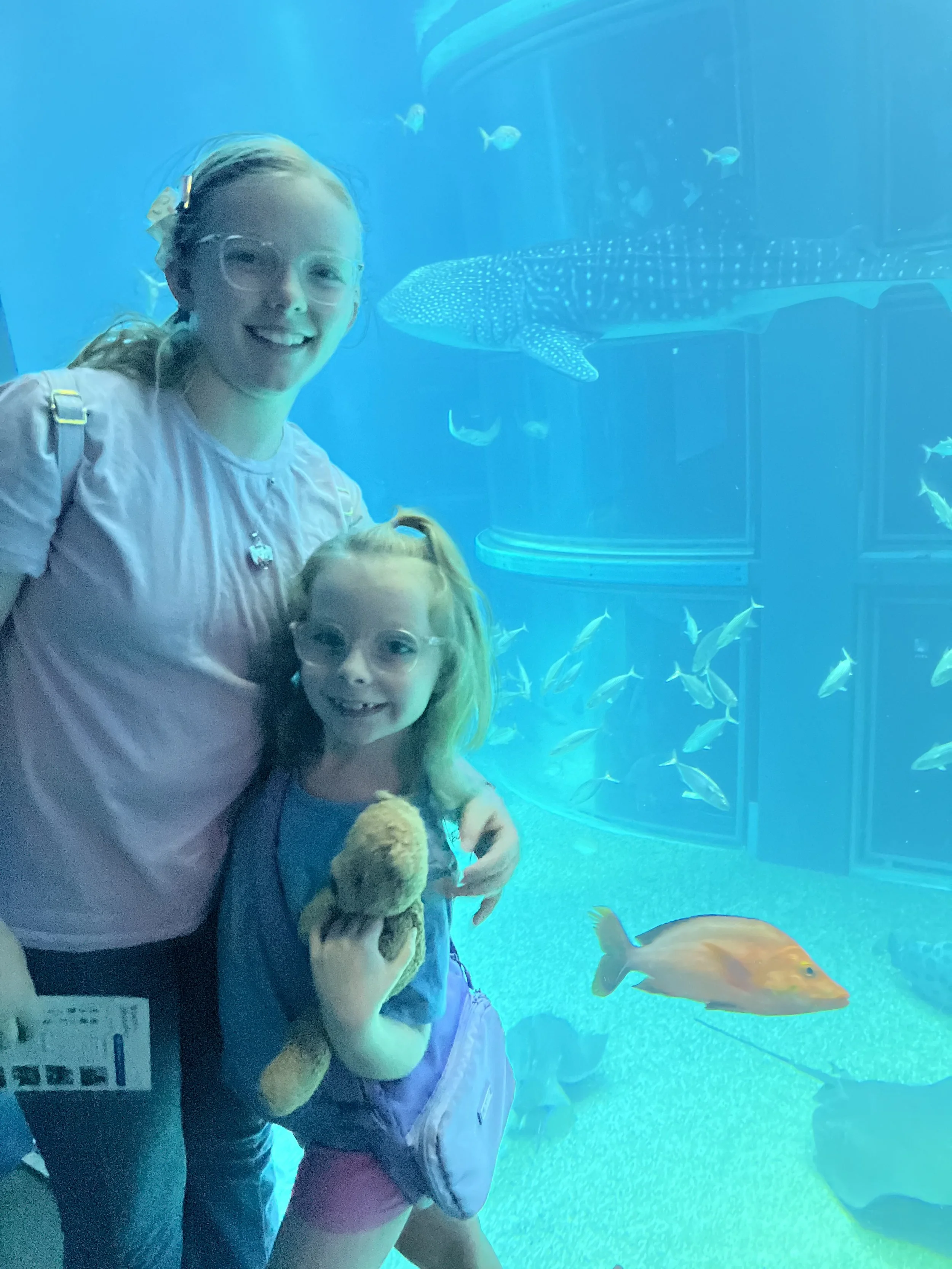 Family standing in front of the whale shark tank at Osaka Aquarium Kaiyukan, with a young girl holding her stuffed toy