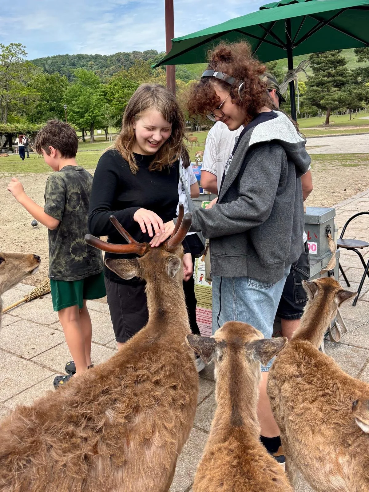 Group of children petting and feeding deer at a park during daytime, with trees and green hills in the background.