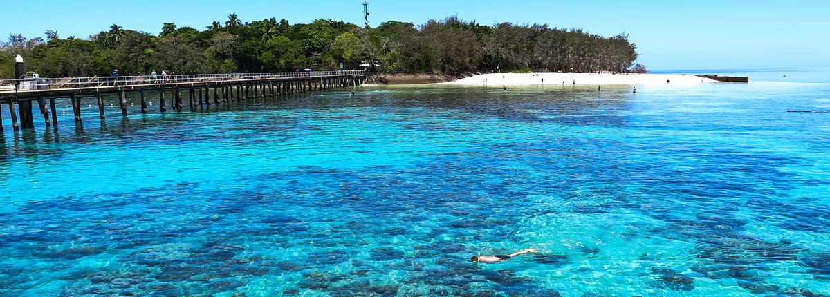 cairns snorkle.jpeg