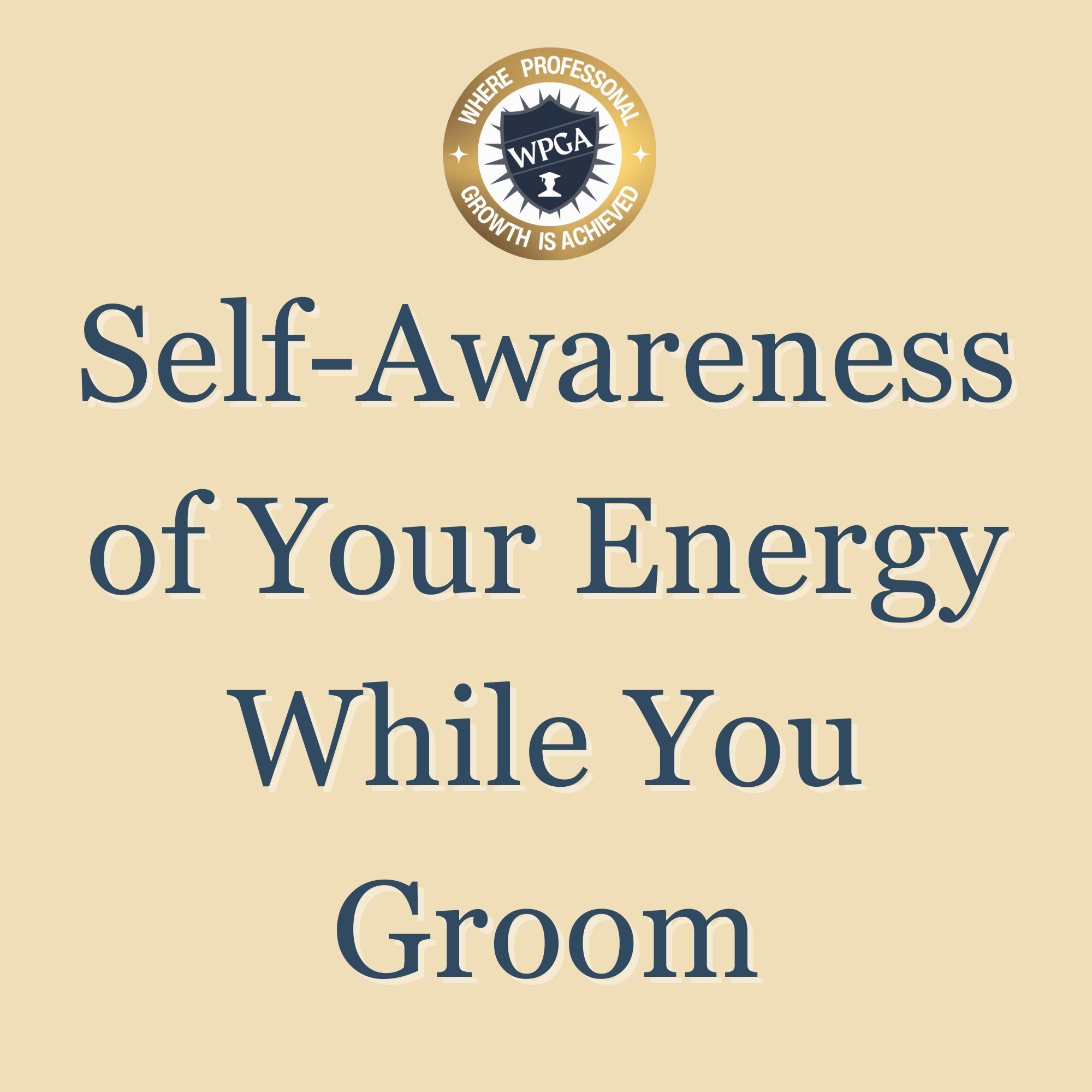 Self-Awareness of Your Energy While You Groom.png