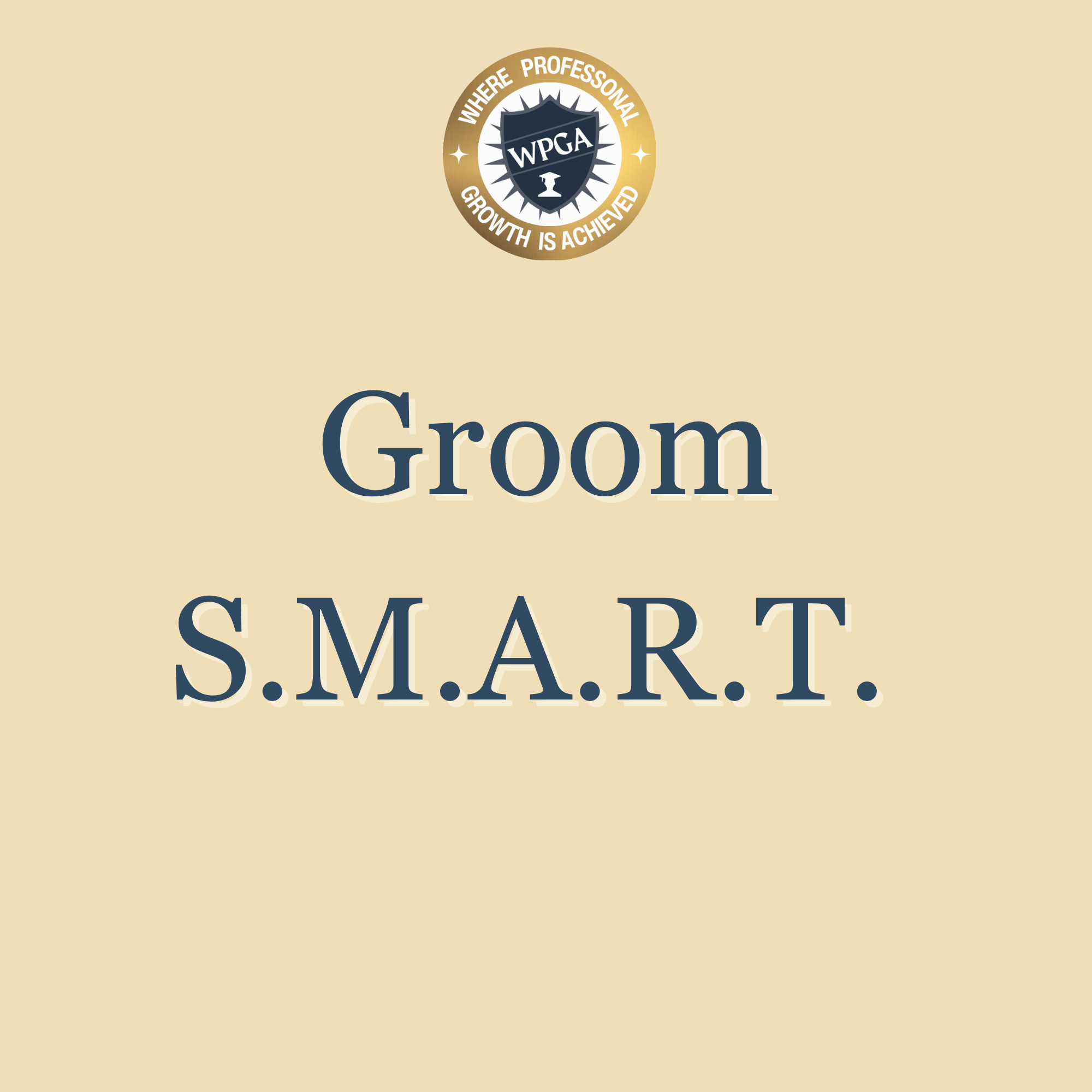 Groom S.M.A.R.T.png