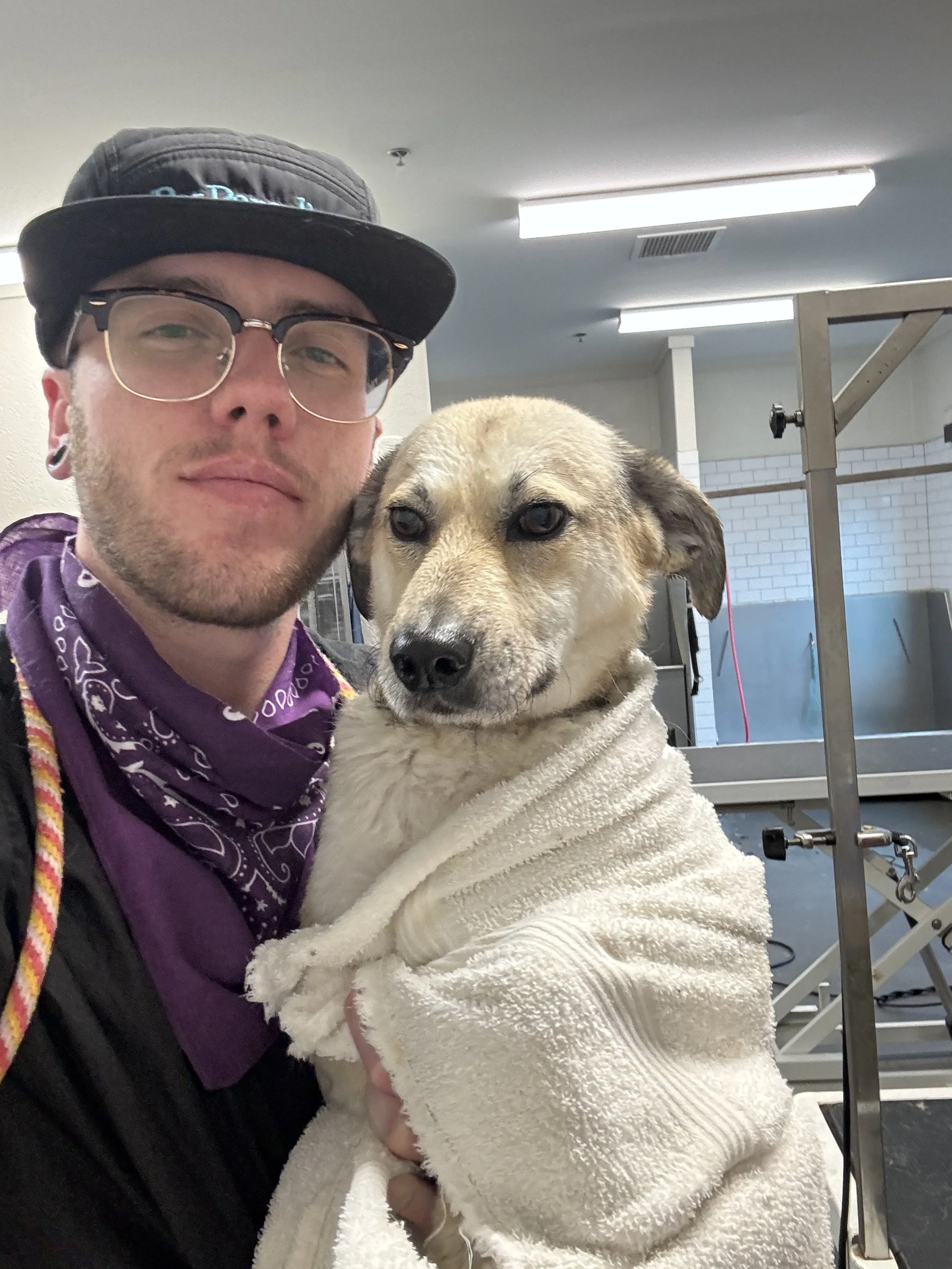 A man with glasses and a purple bandana around his neck is holding a dog wrapped in a white towel, in what appears to be a veterinary clinic or animal hospital.