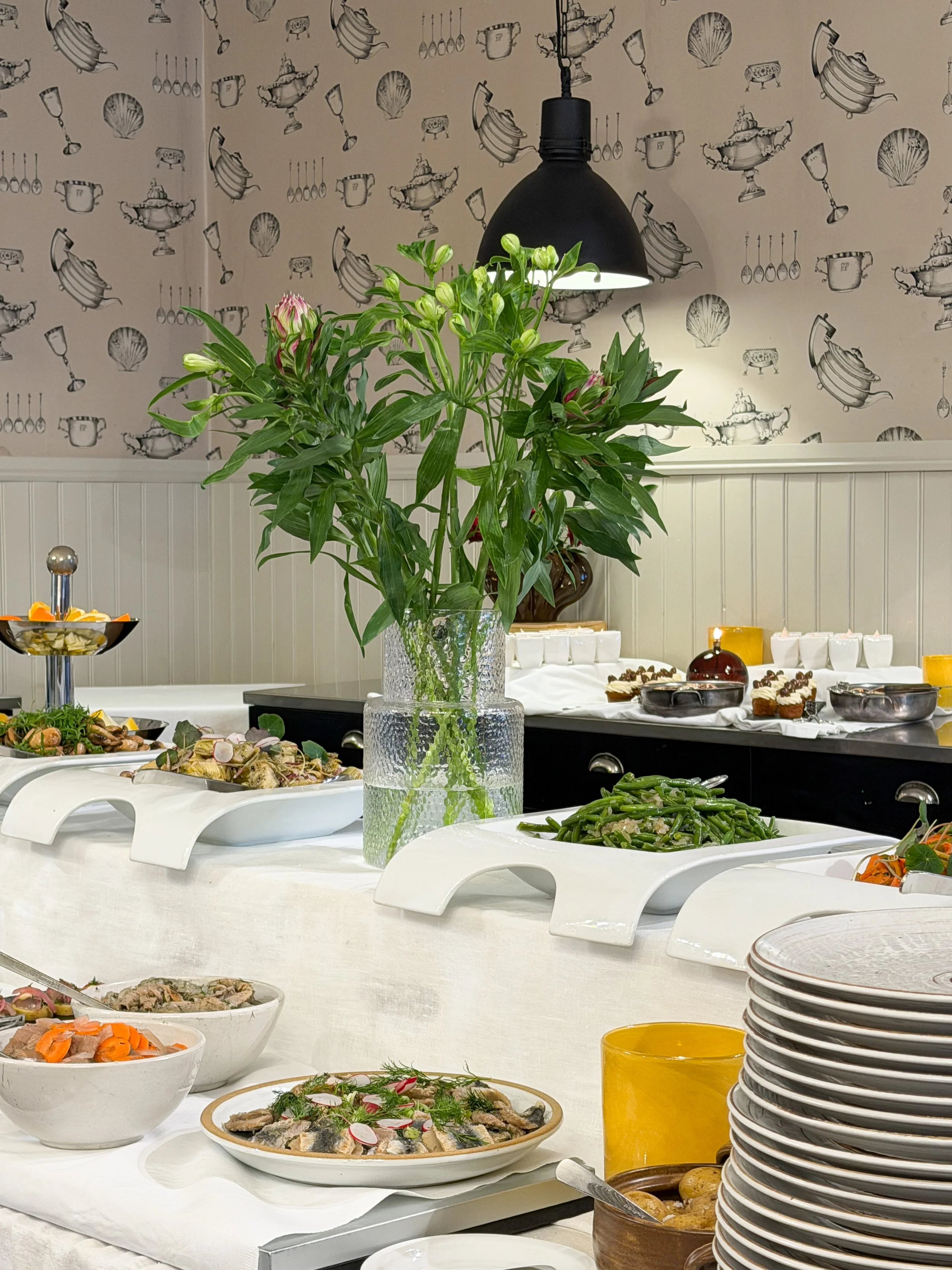 Foto 2026-02-24 11 20 39.jpg