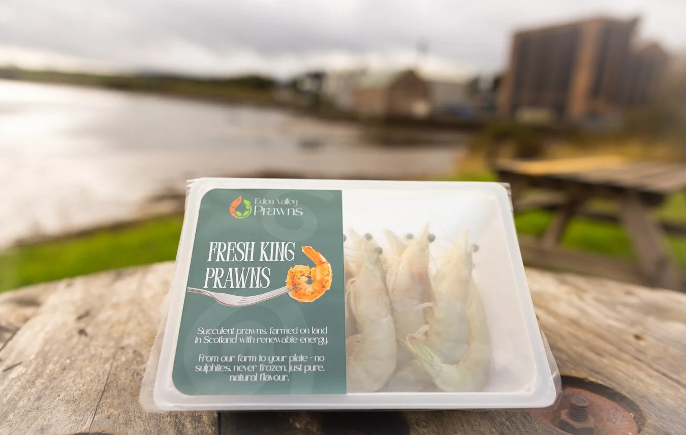 King Prawns from the Kingdom