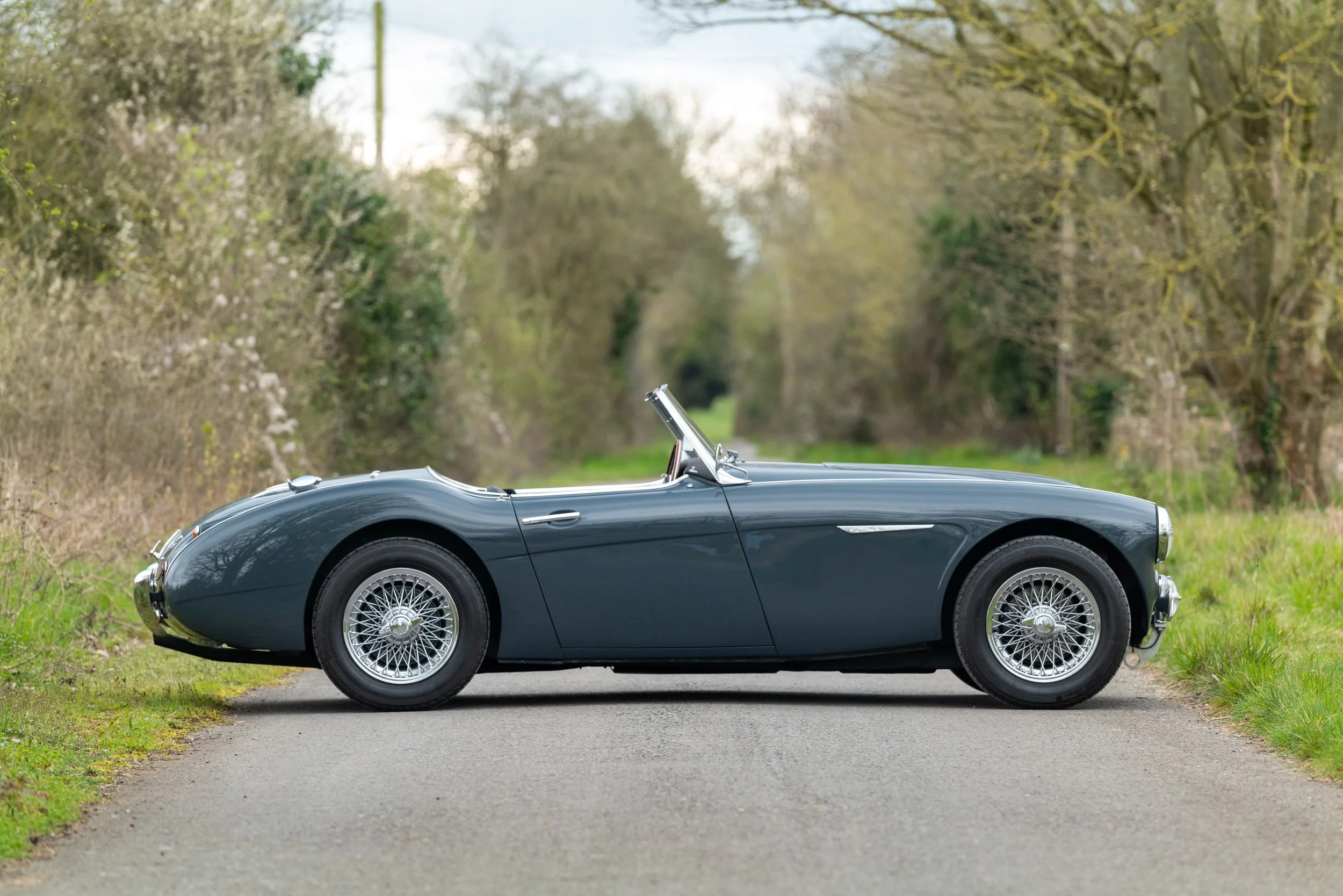 Austin Healey 3000 - 3 - L1070639.jpg