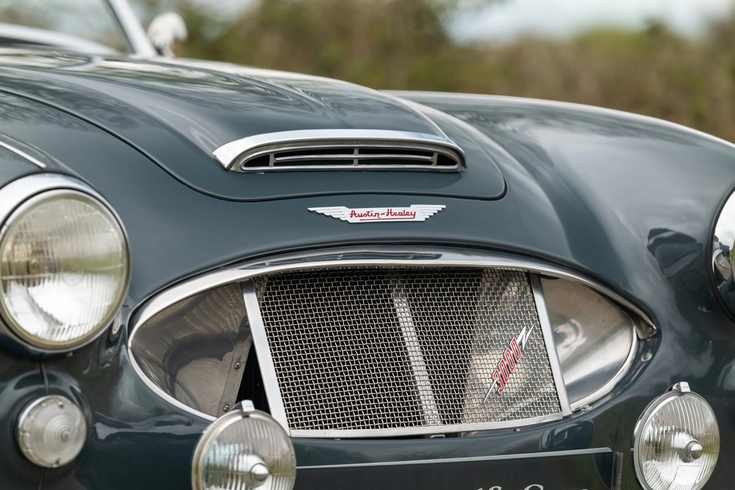 Austin Healey 3000 - 8 - L1070652.jpg