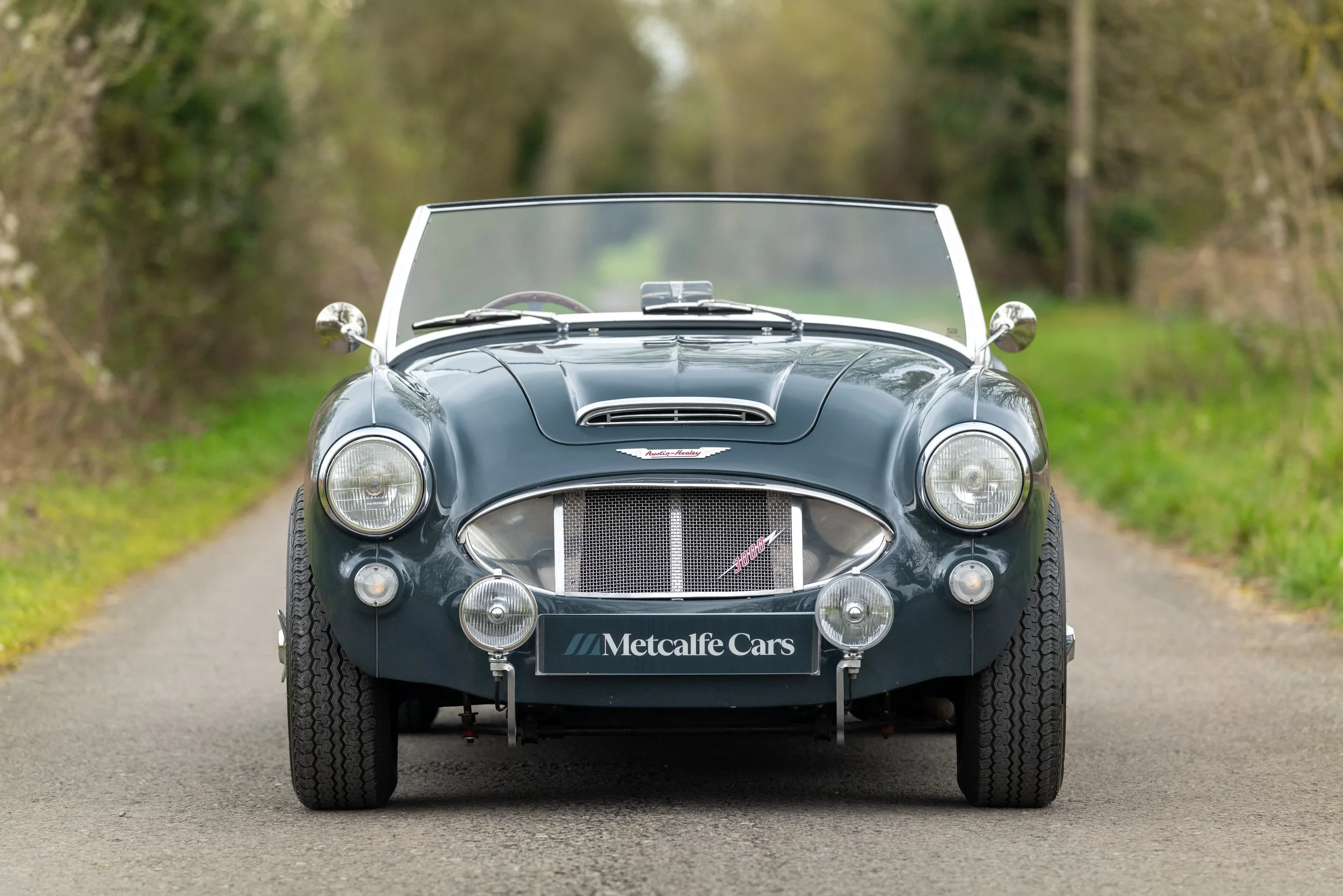 Austin Healey 3000 - 4 - L1070644.jpg