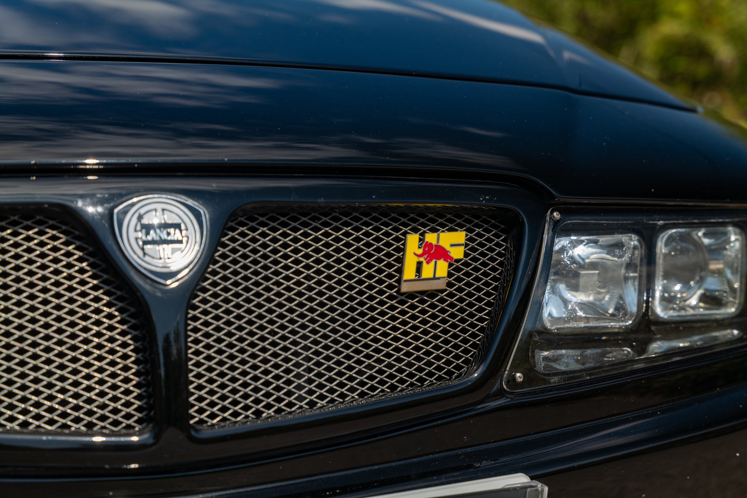 Lancia Hyena - 8 - L1080263.jpg
