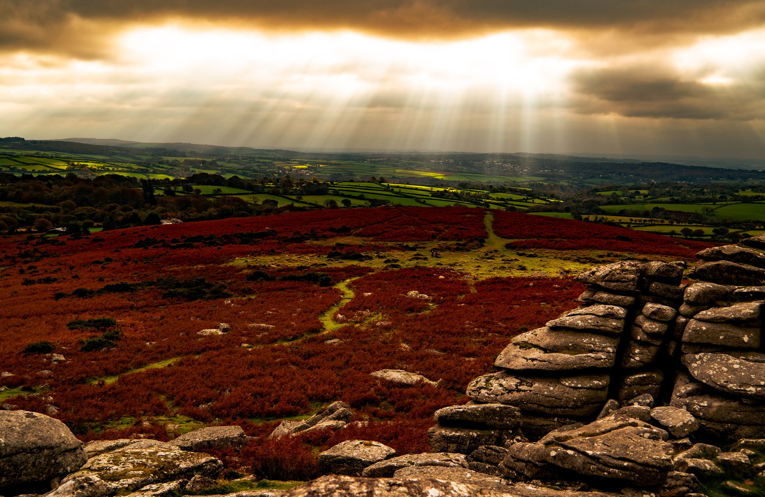 Dartmoor_PRINT.jpg