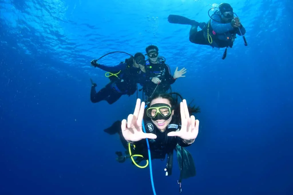 diving.jpg