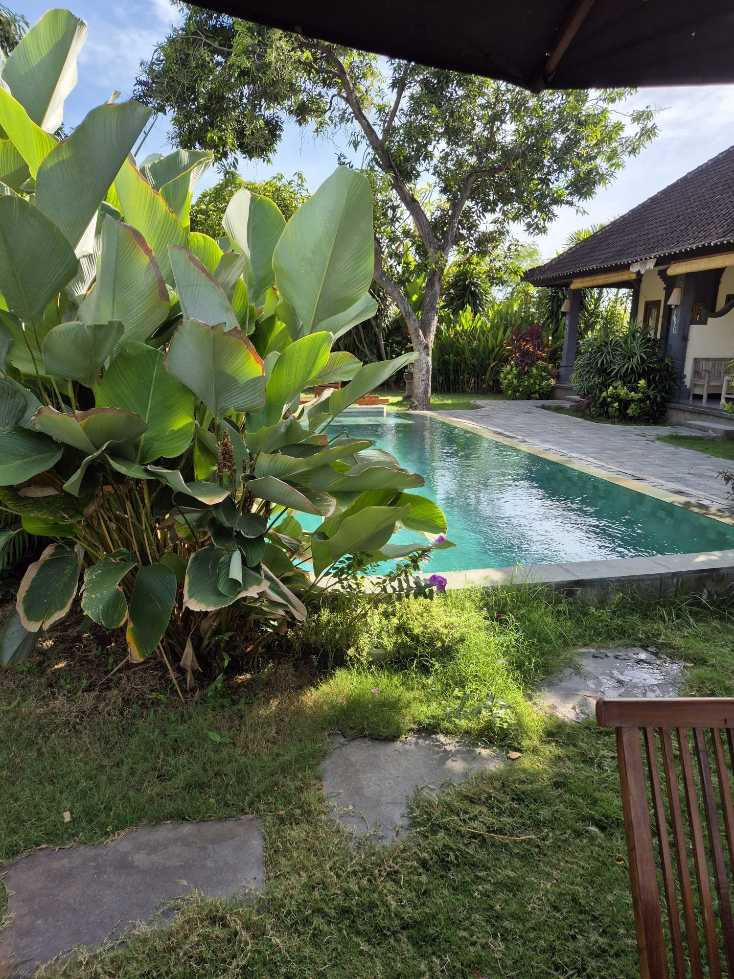 foto garden 4.jpg
