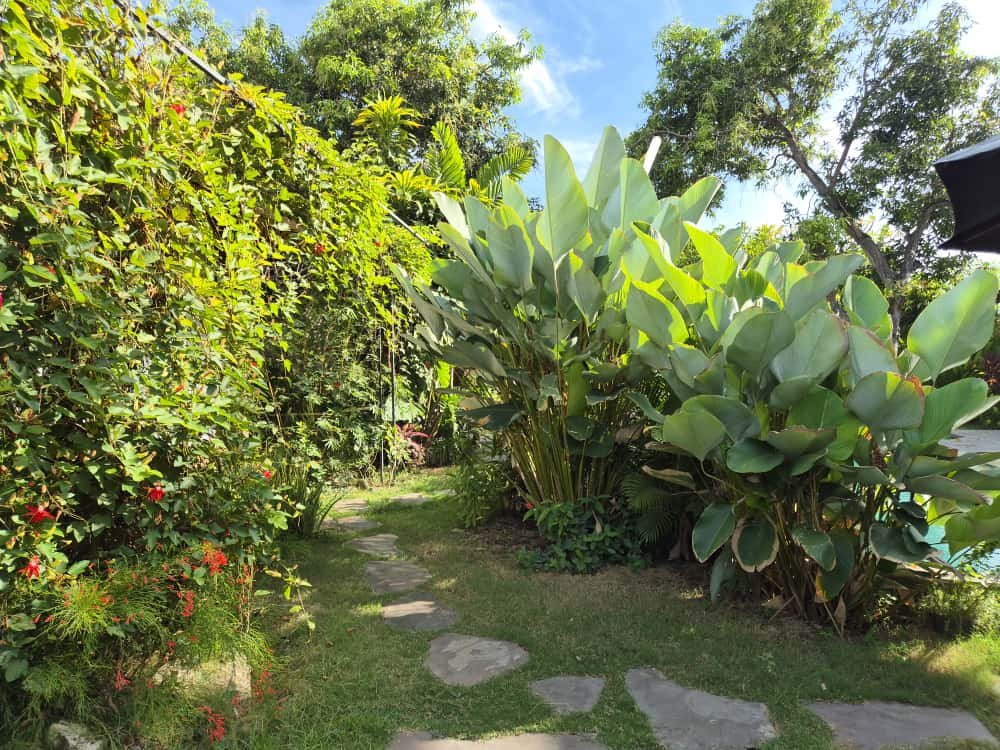foto garden 2.jpg