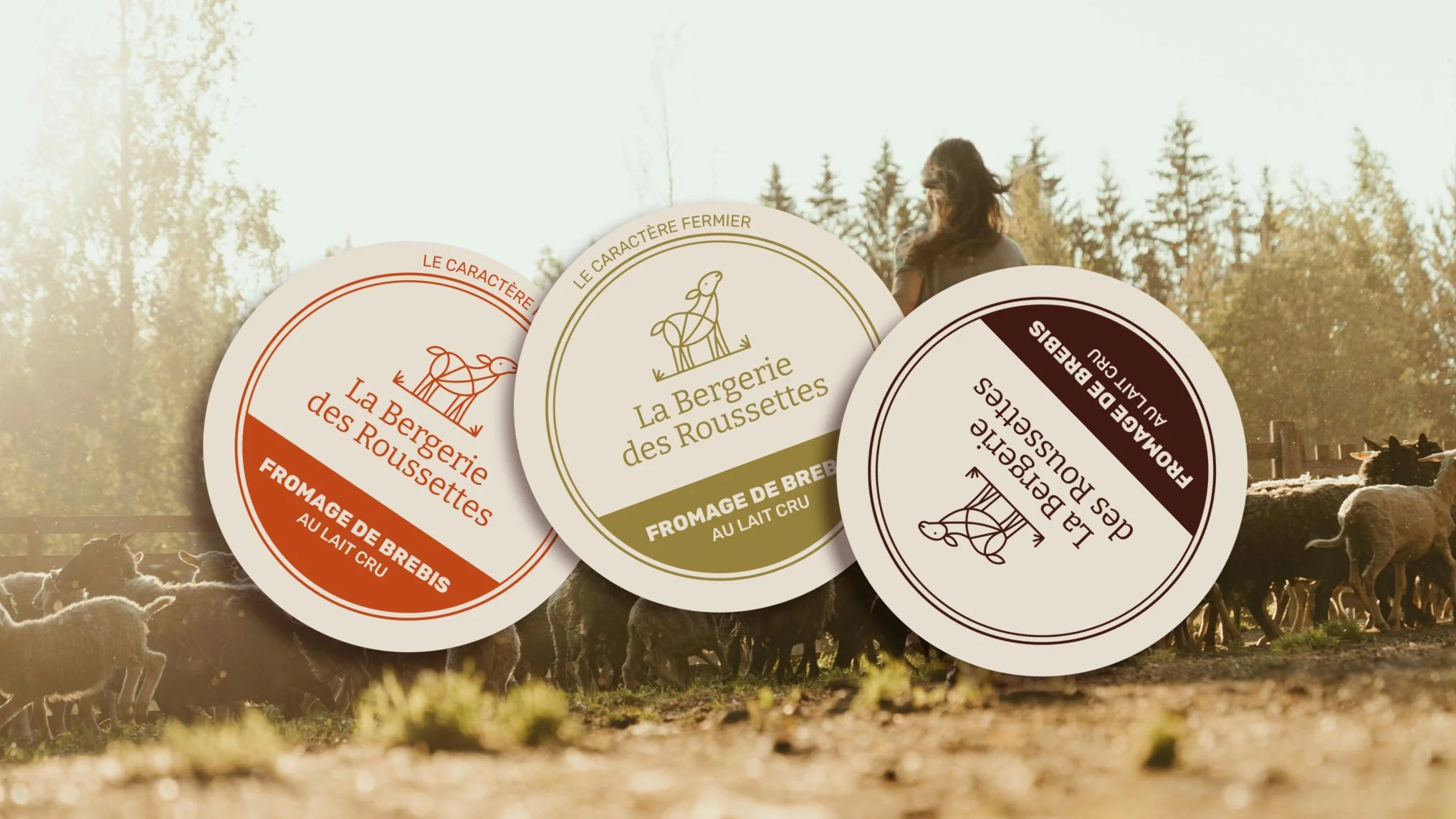 Visuel pour étiquettes destinées à une ferme des Côtes-d’Armor produisant du fromage de brebis.