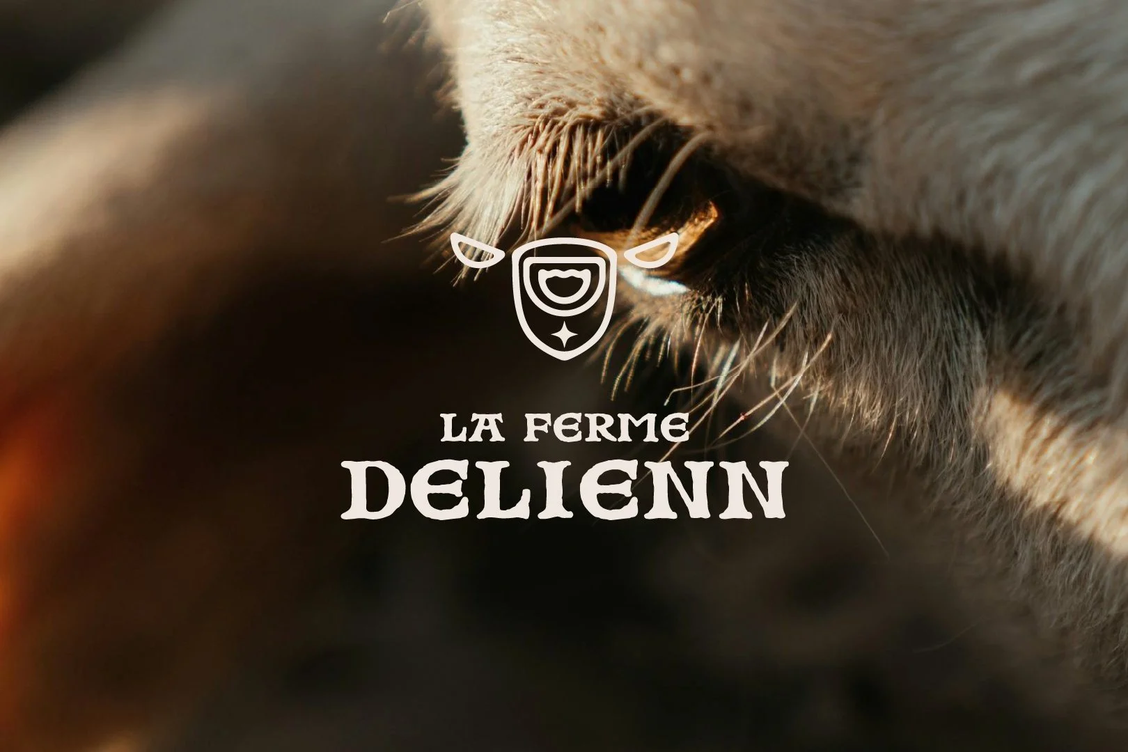 Création de logo pour des agriculteurs et producteurs bretons