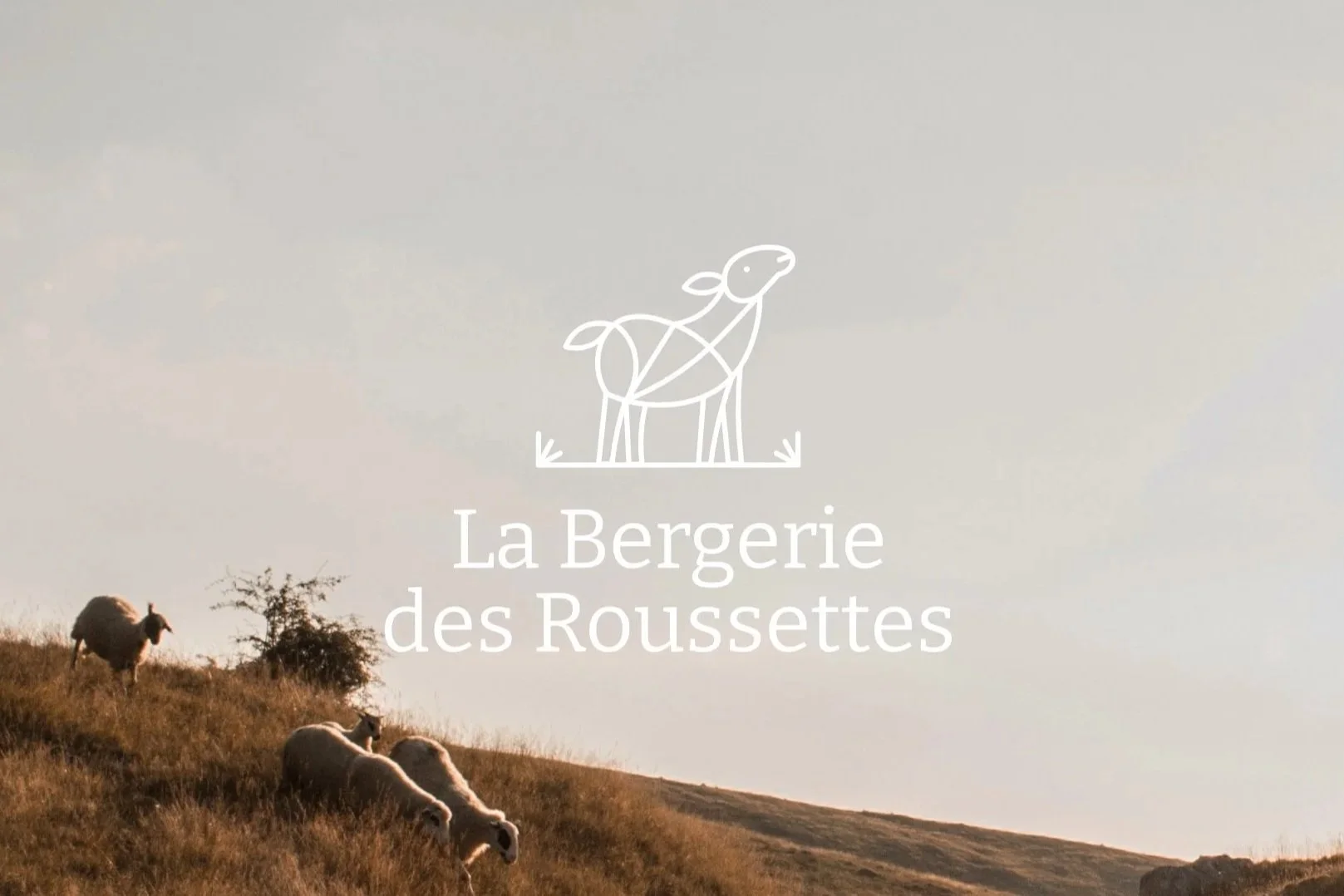 Logo conçu pour un artisan vitrailliste, inspiré par l’art du vitrail et la lumière.