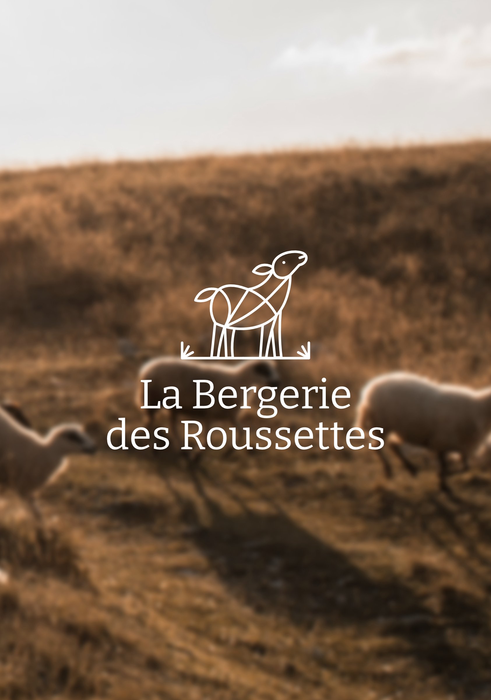 Graphiste freelance pour les petites entreprises de Bretagne