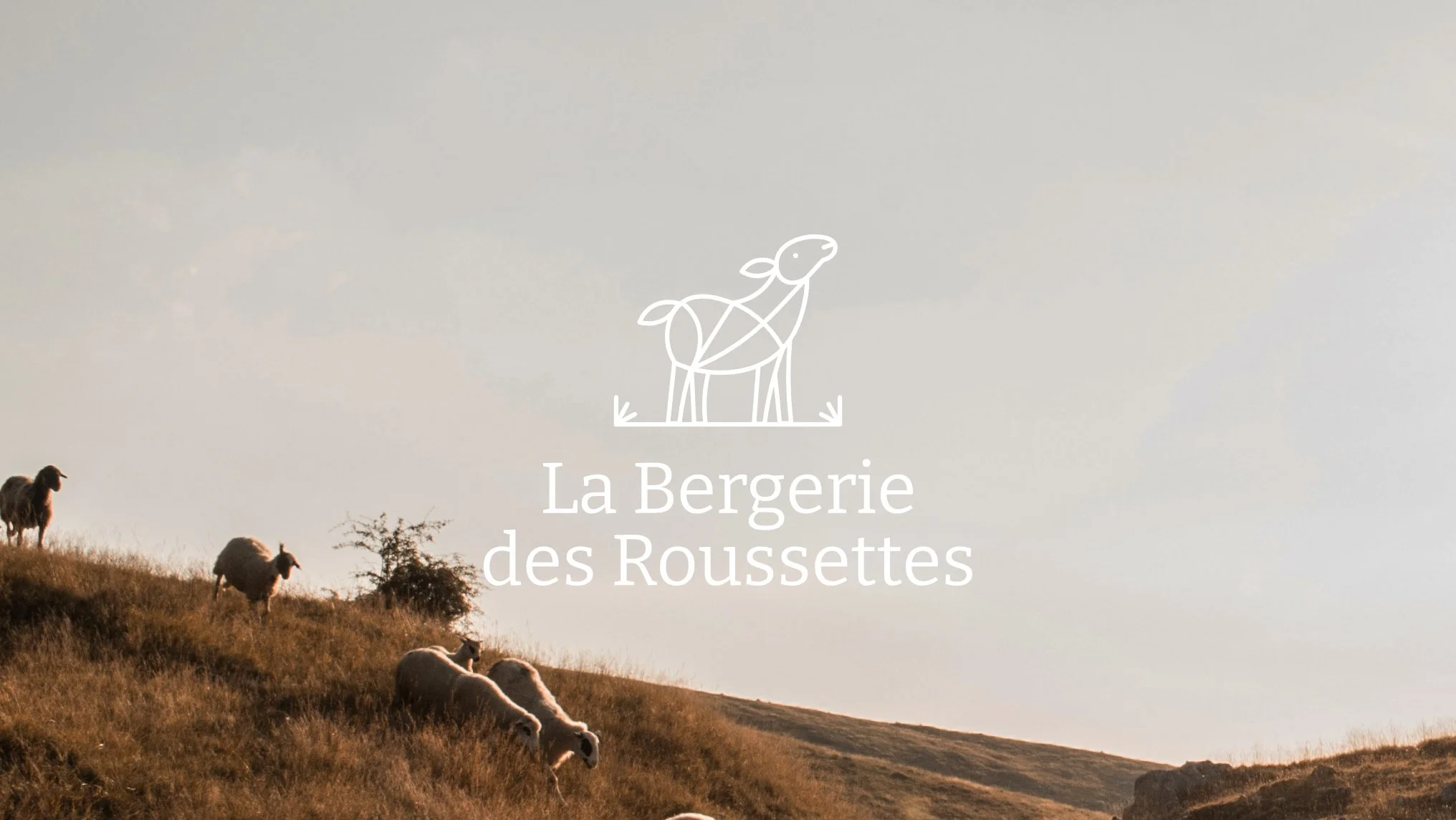Logo inspiré de l’élevage ovin, créé pour une bergerie bretonne produisant du fromage artisanal près de Saint-Brieuc.
