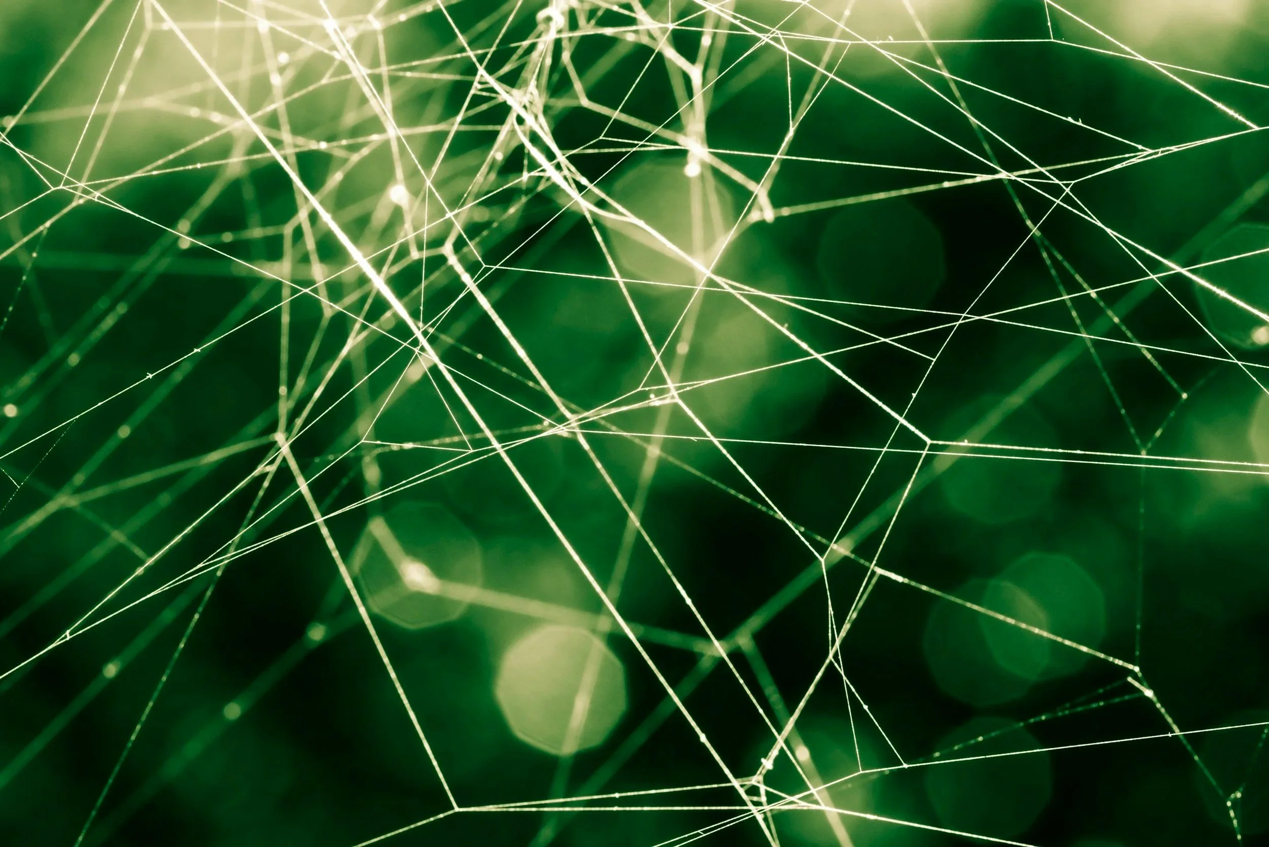 Fascia and The Nervous System