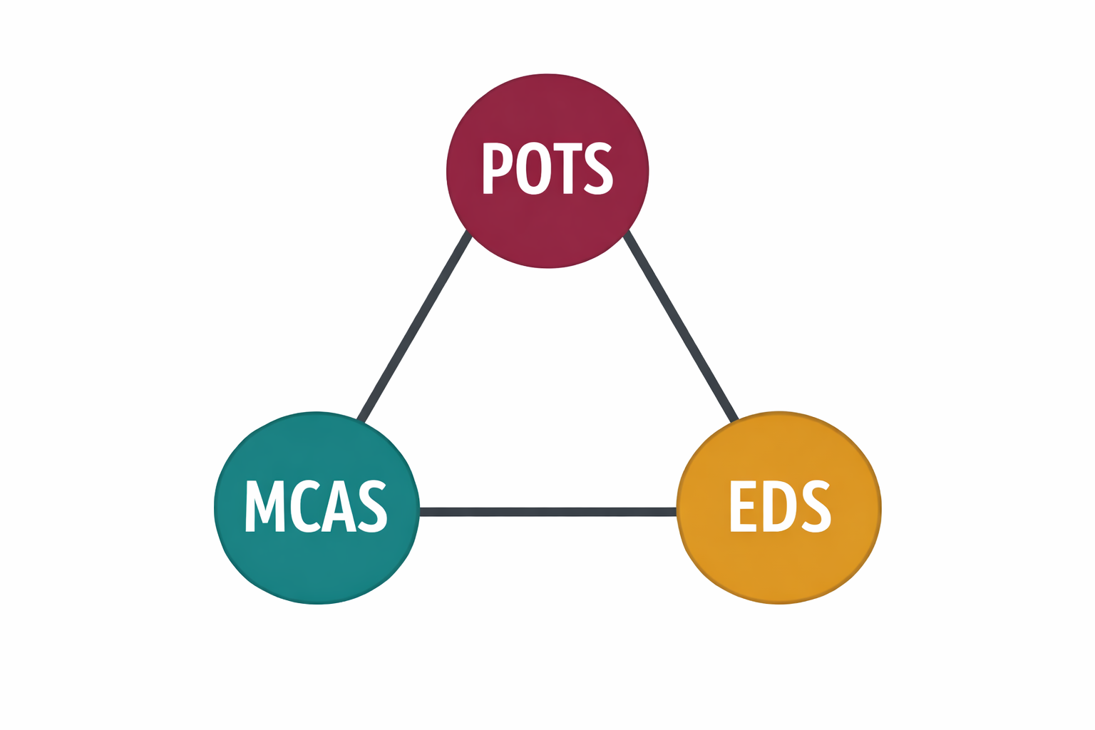 The Dysautonomia Triangle: Understanding the Overlap Between POTS, MCAS, and EDS