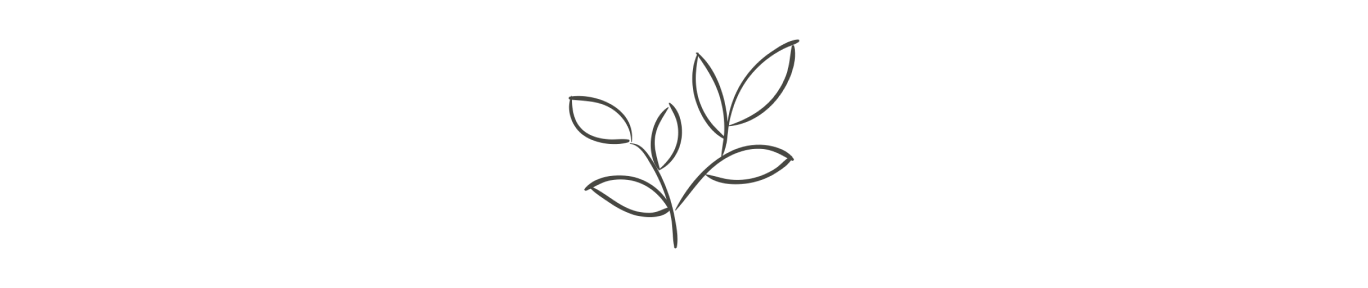 Black and white illustration of a small branch with leaves, centered at the top of a blank page.