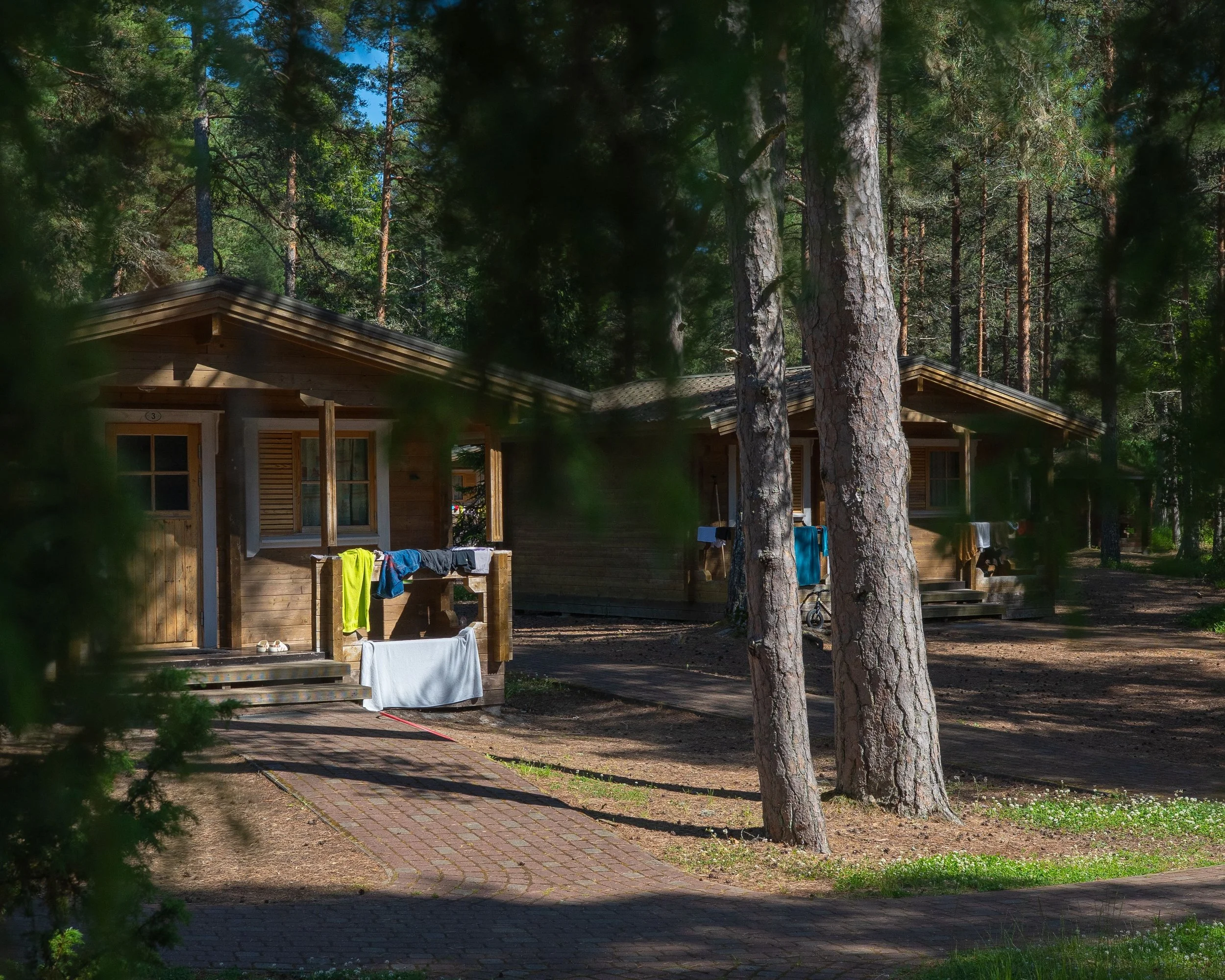 A wooden cabin in a forest with tall pine trees surrounding it. Clothes are hanging on a drying line in front of the cabin. The scene is bright with sunlight filtering through the trees.