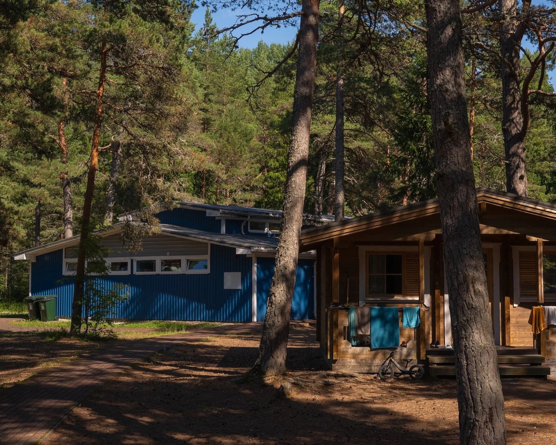 A house with blue siding and a wooden patio surrounded by tall pine trees and green foliage. There are towels hanging on a railing and a tricycle in front of the house.