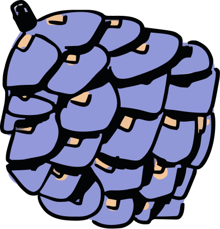 Illustration of a pine cone.