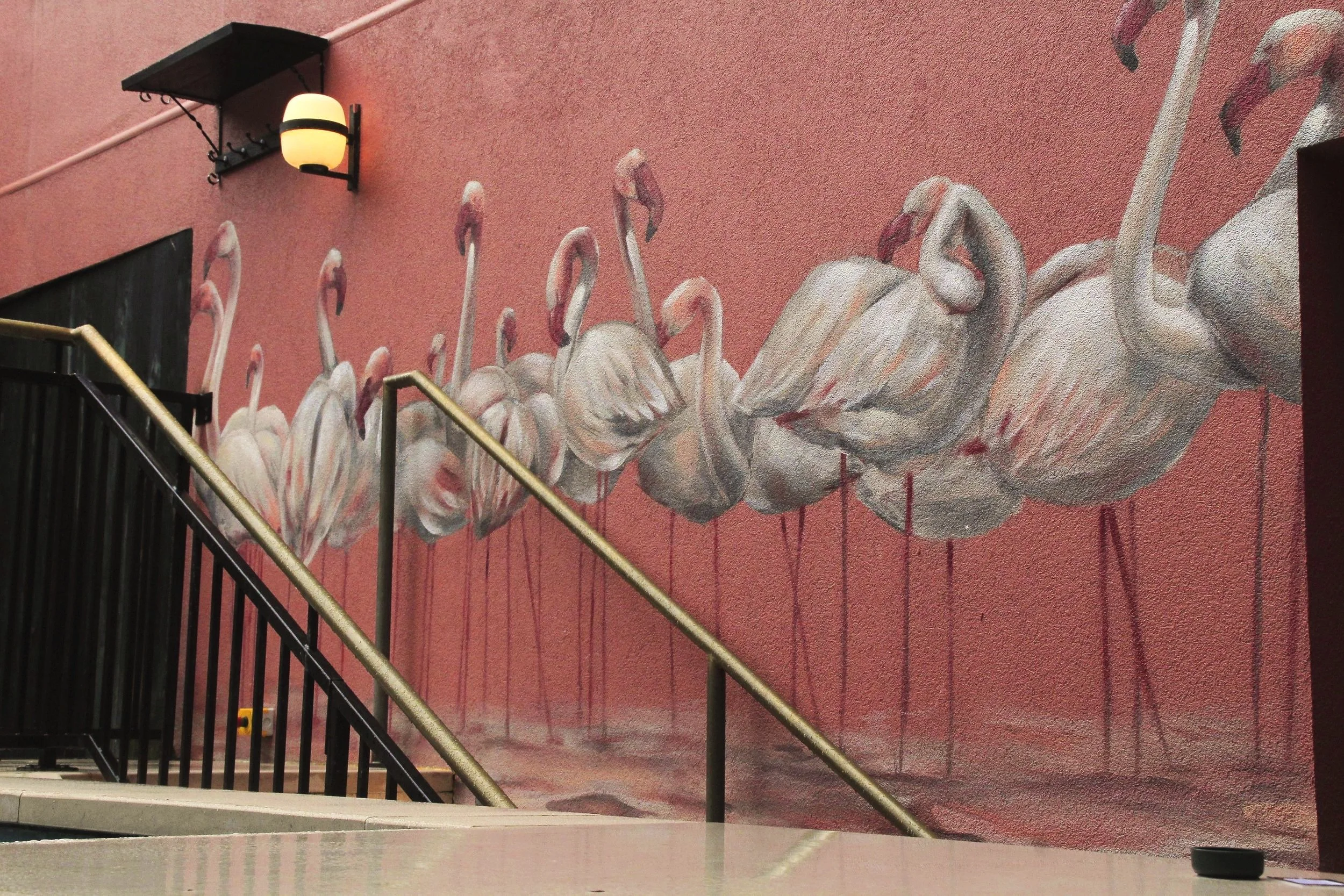 hotel swimming area mural art wall flamingos The Dean Hotel