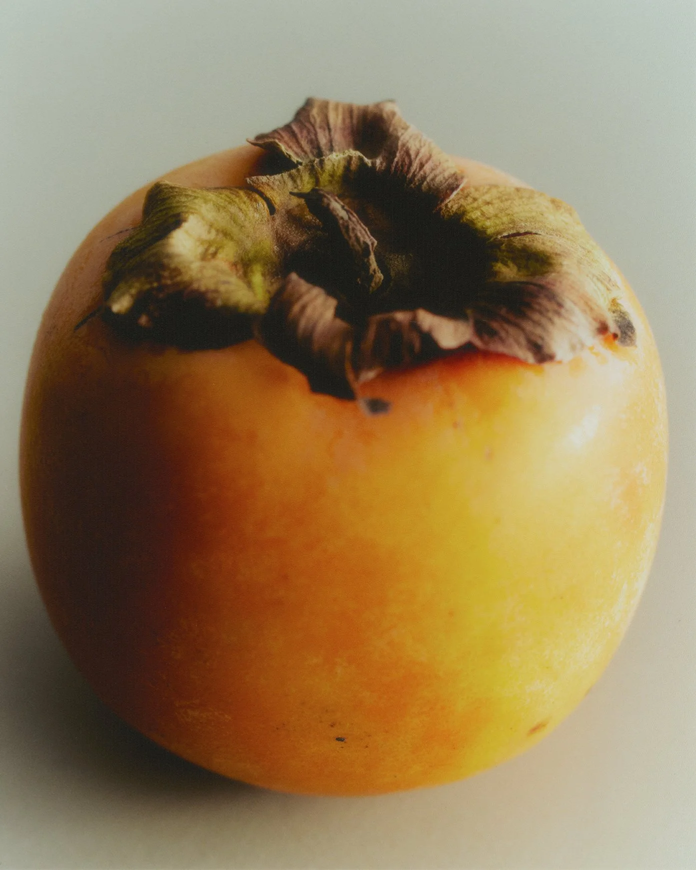 img20260126_15092667 copy.jpg