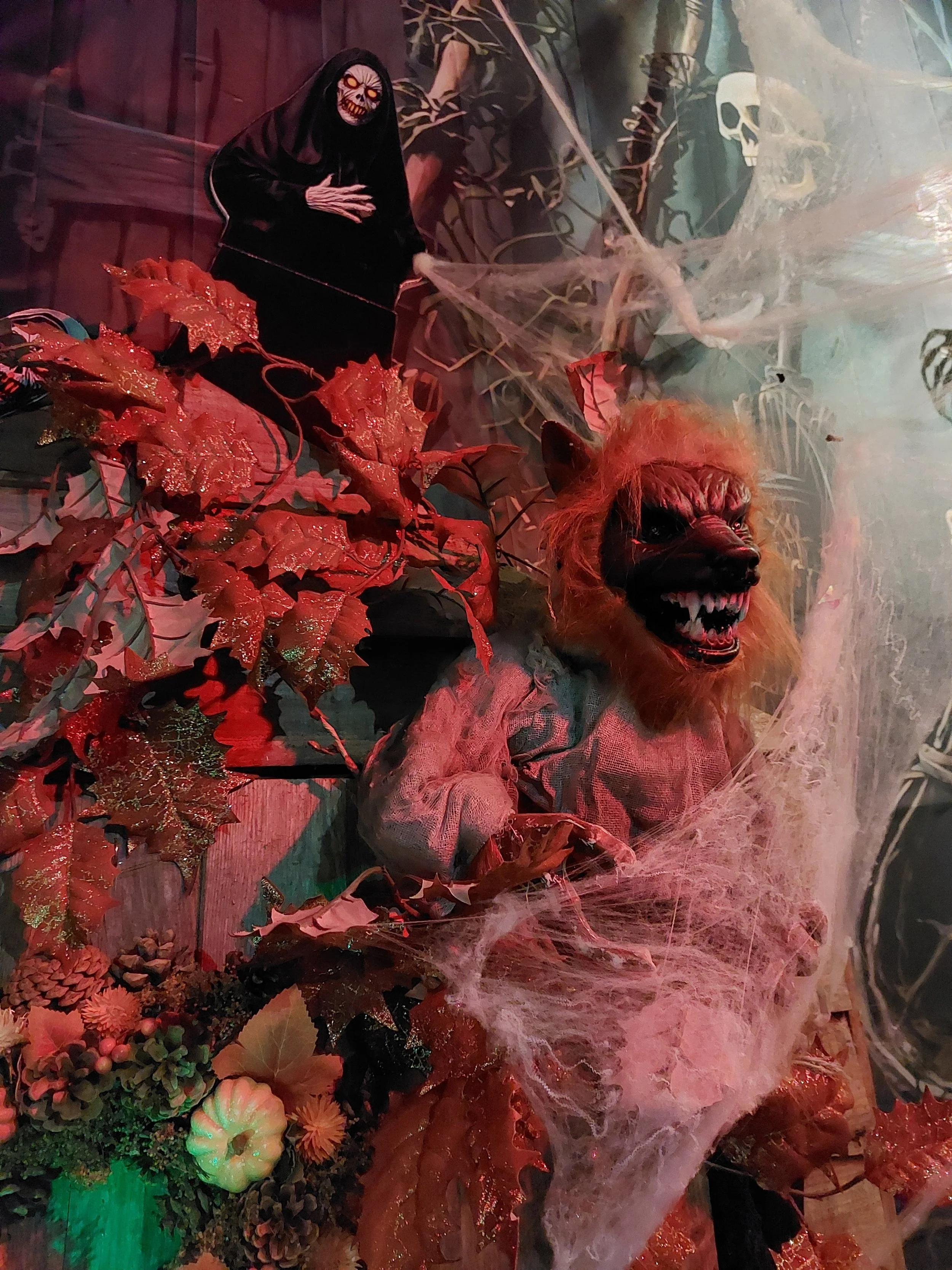 20261017_151106.jpg