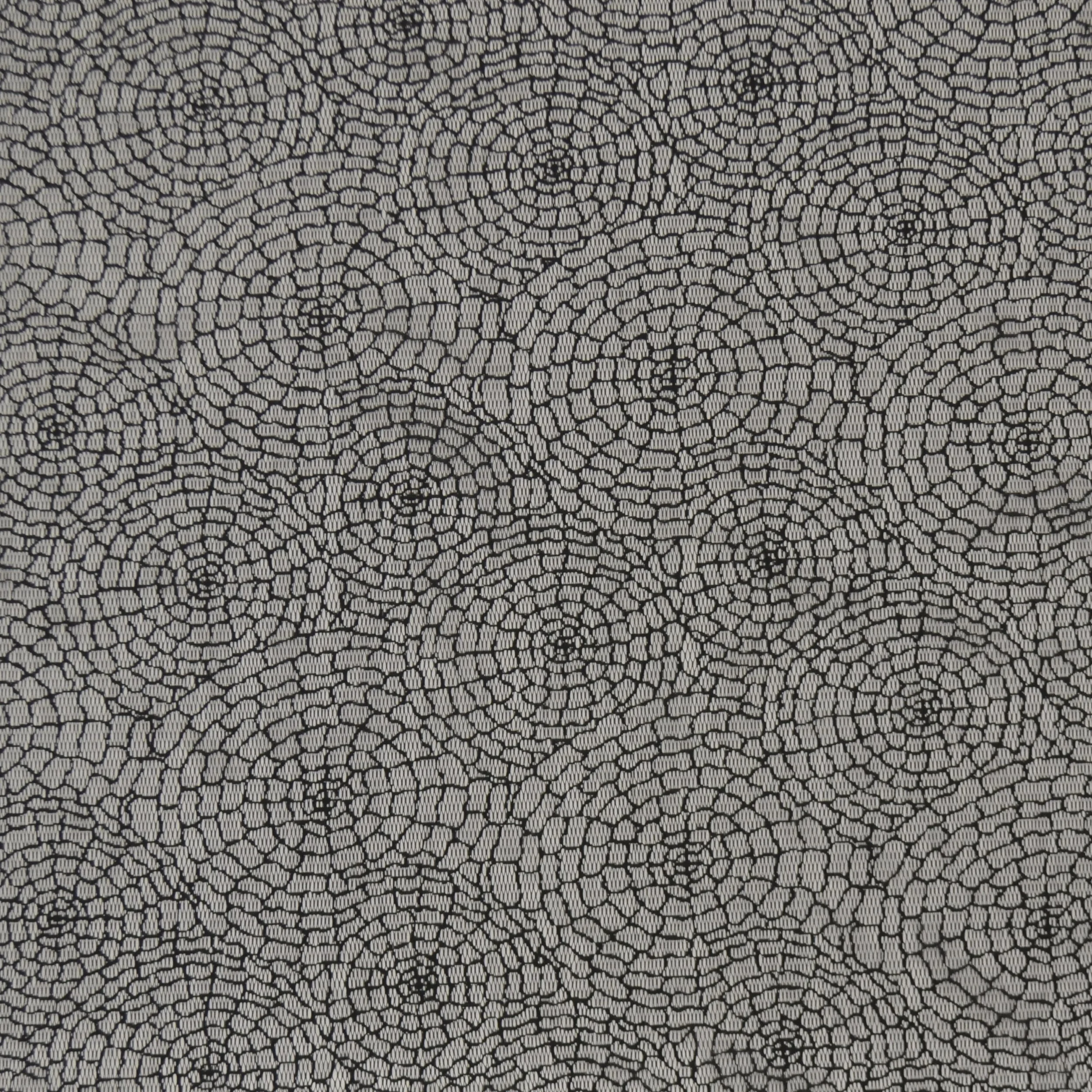 Spiderweb_01.jpg