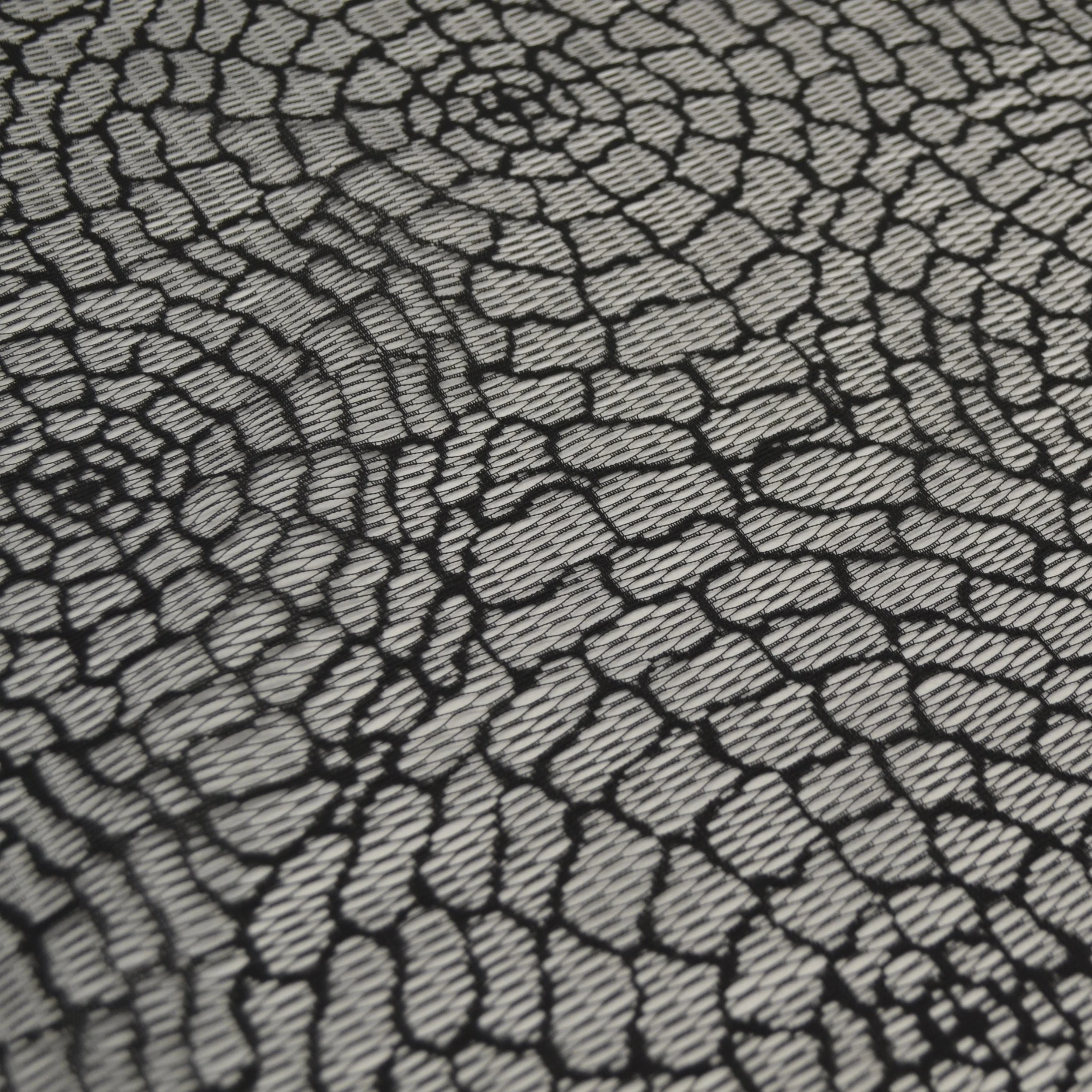 Spiderweb_04.jpg