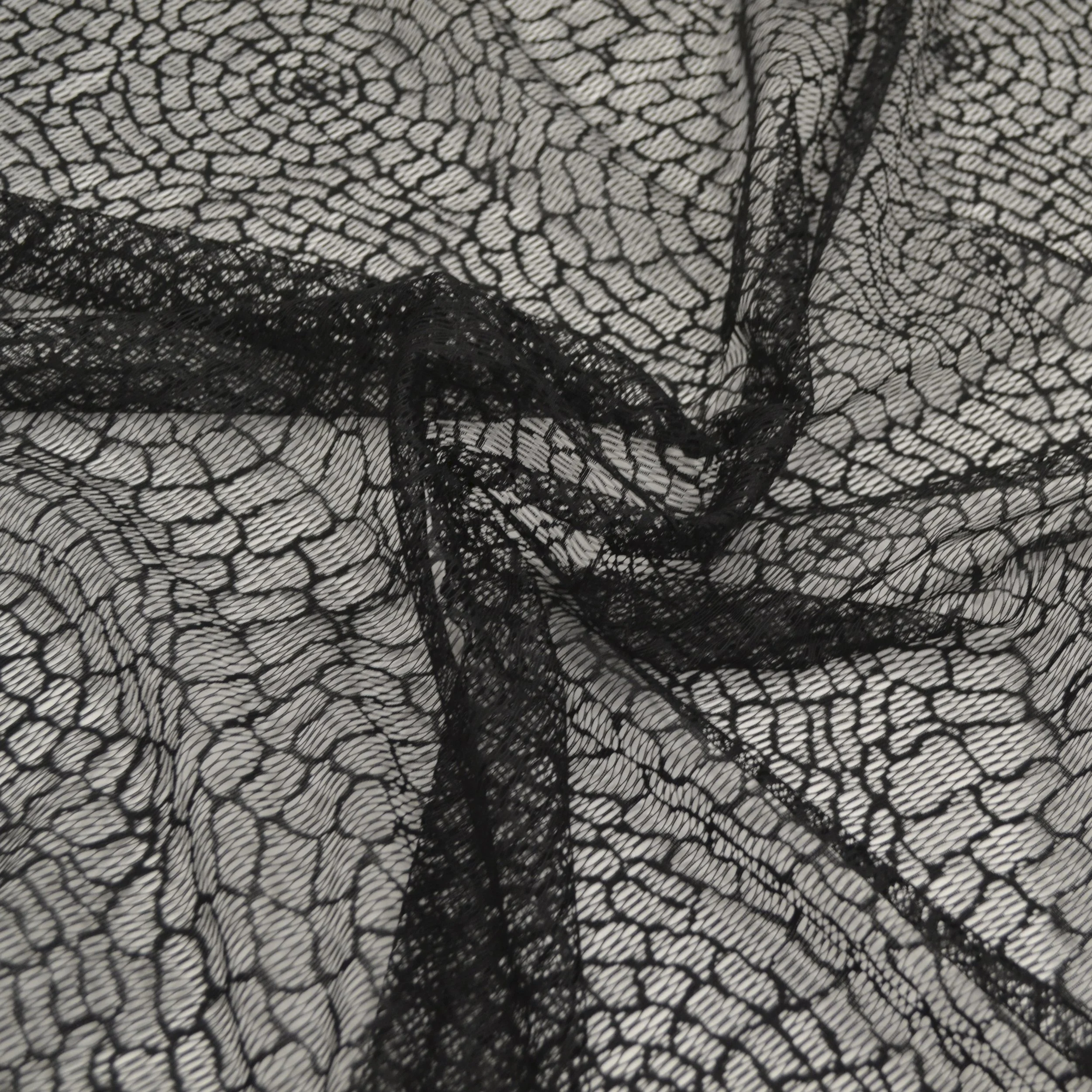Spiderweb_03.jpg