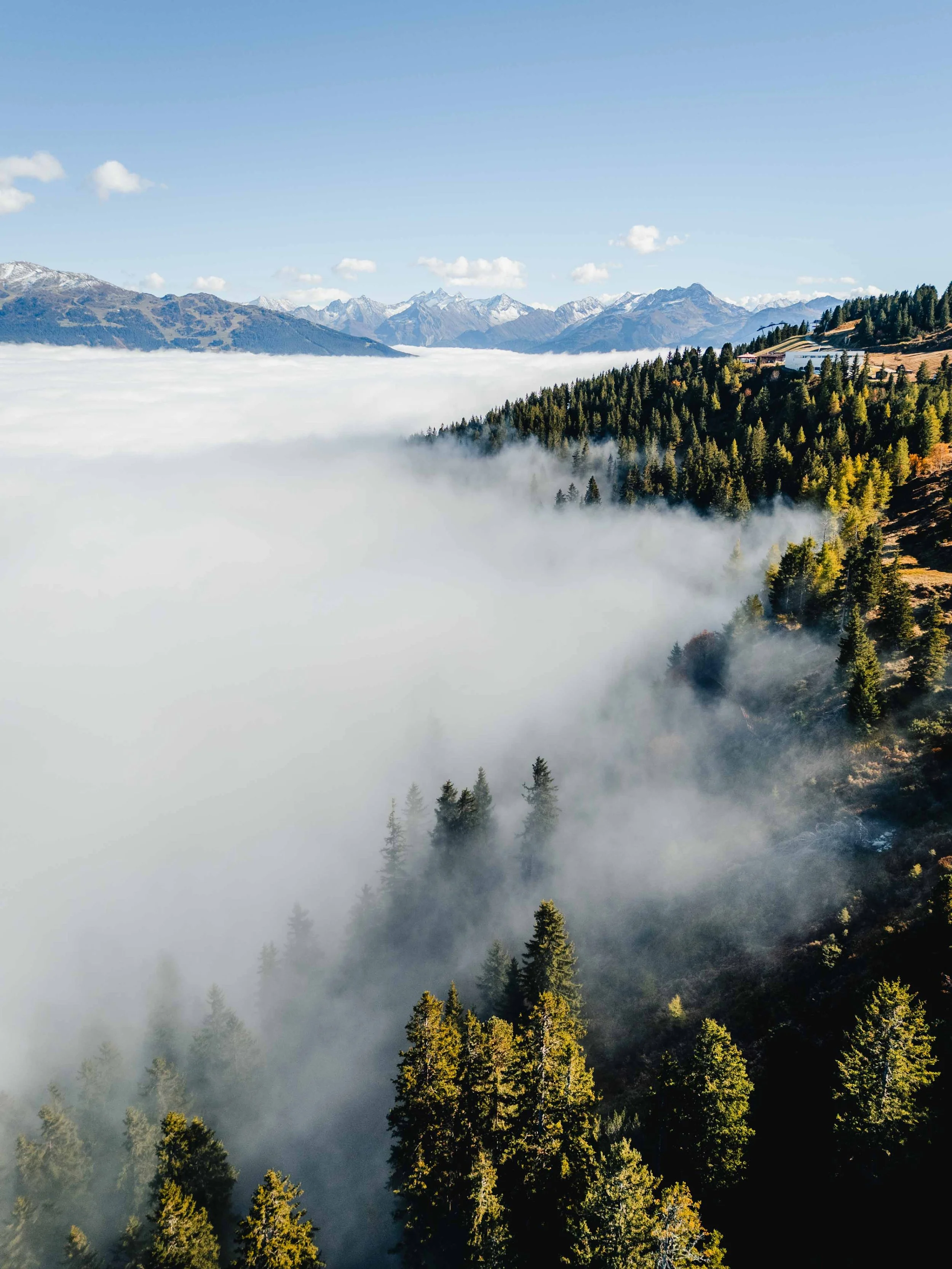 DJI_20251014145449_0434_D.jpg