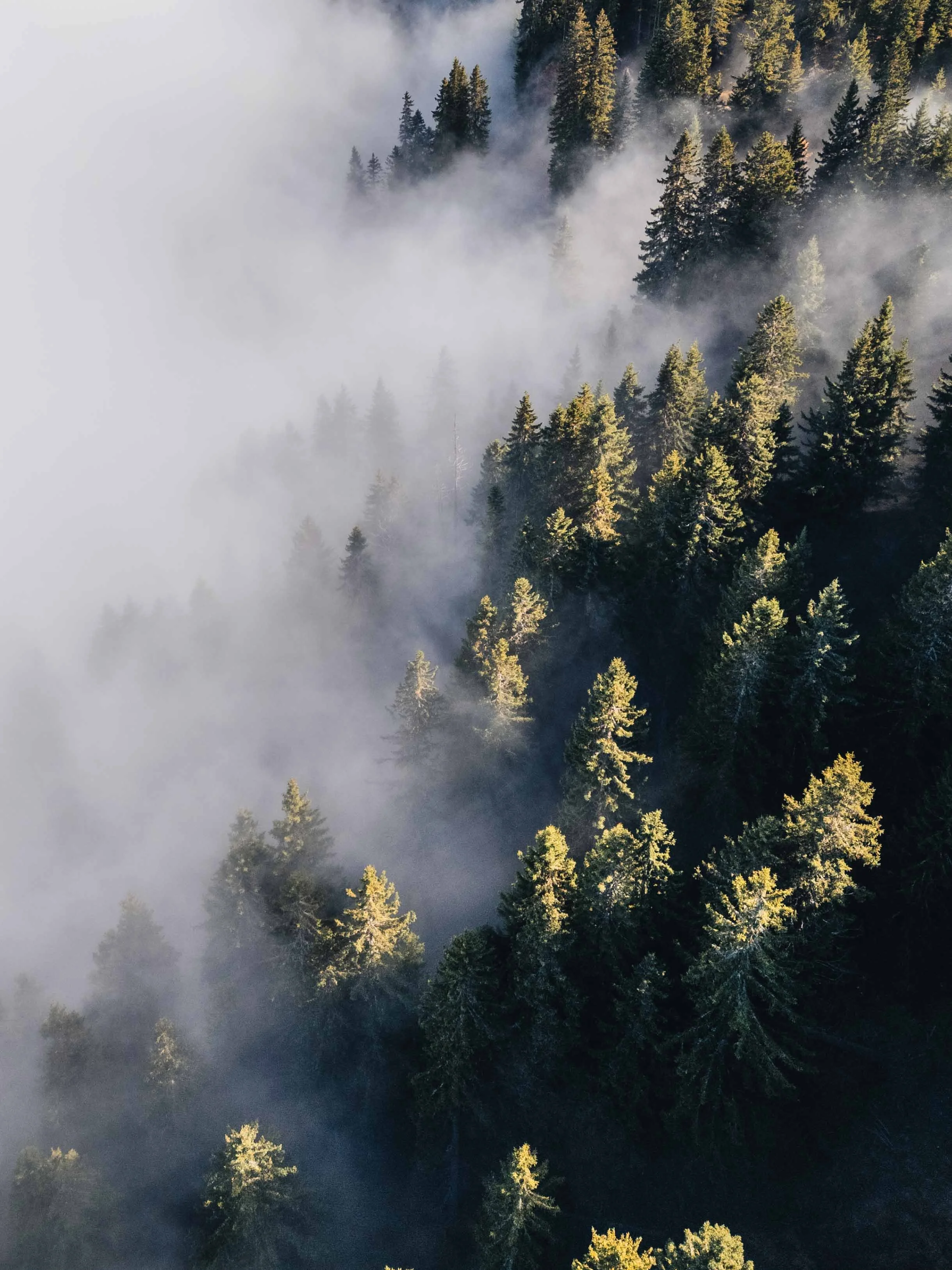 DJI_20251014145654_0439_D.jpg