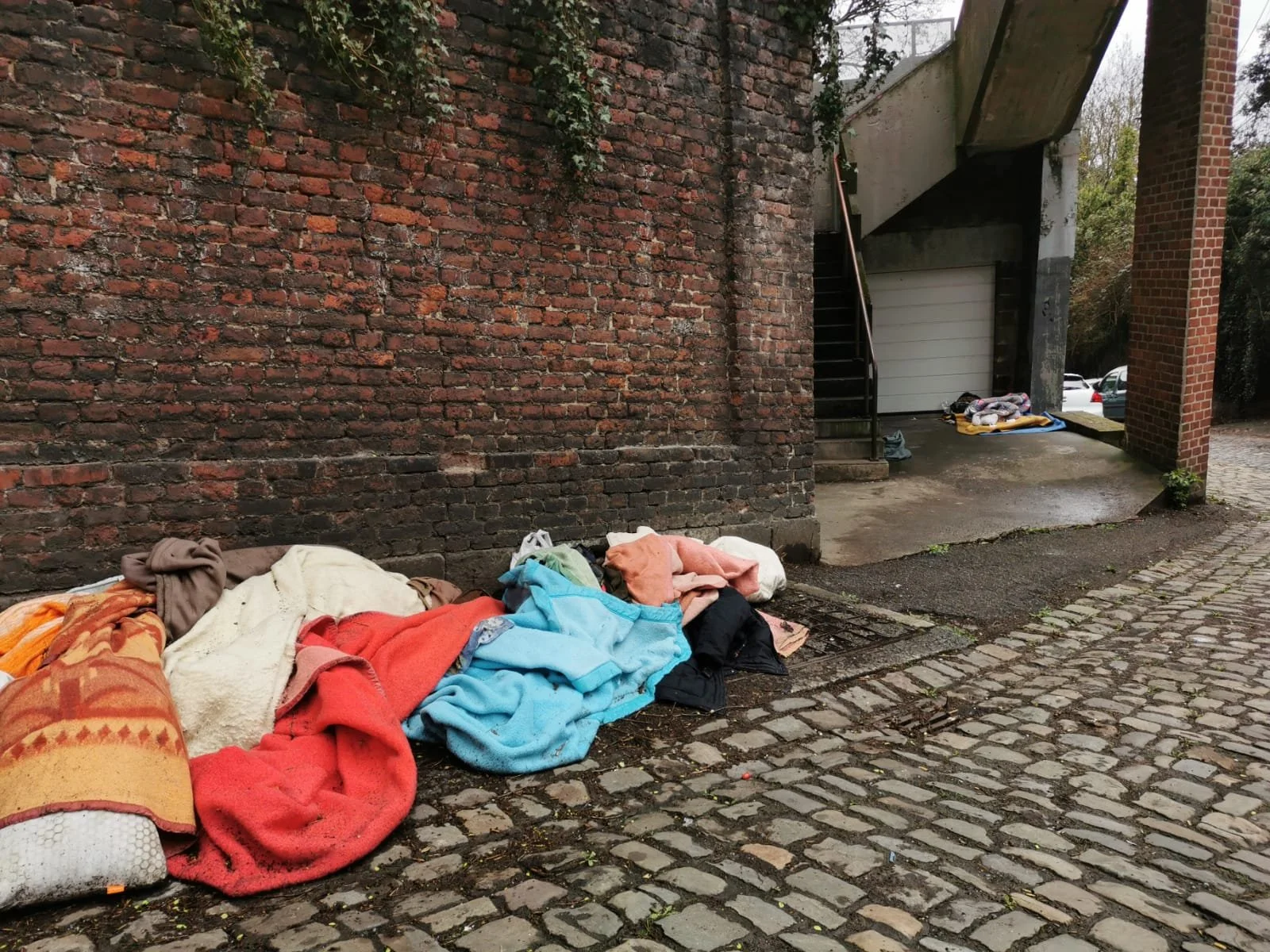 WhatsApp Image 2026-03-20 at 08.08.22.jpeg