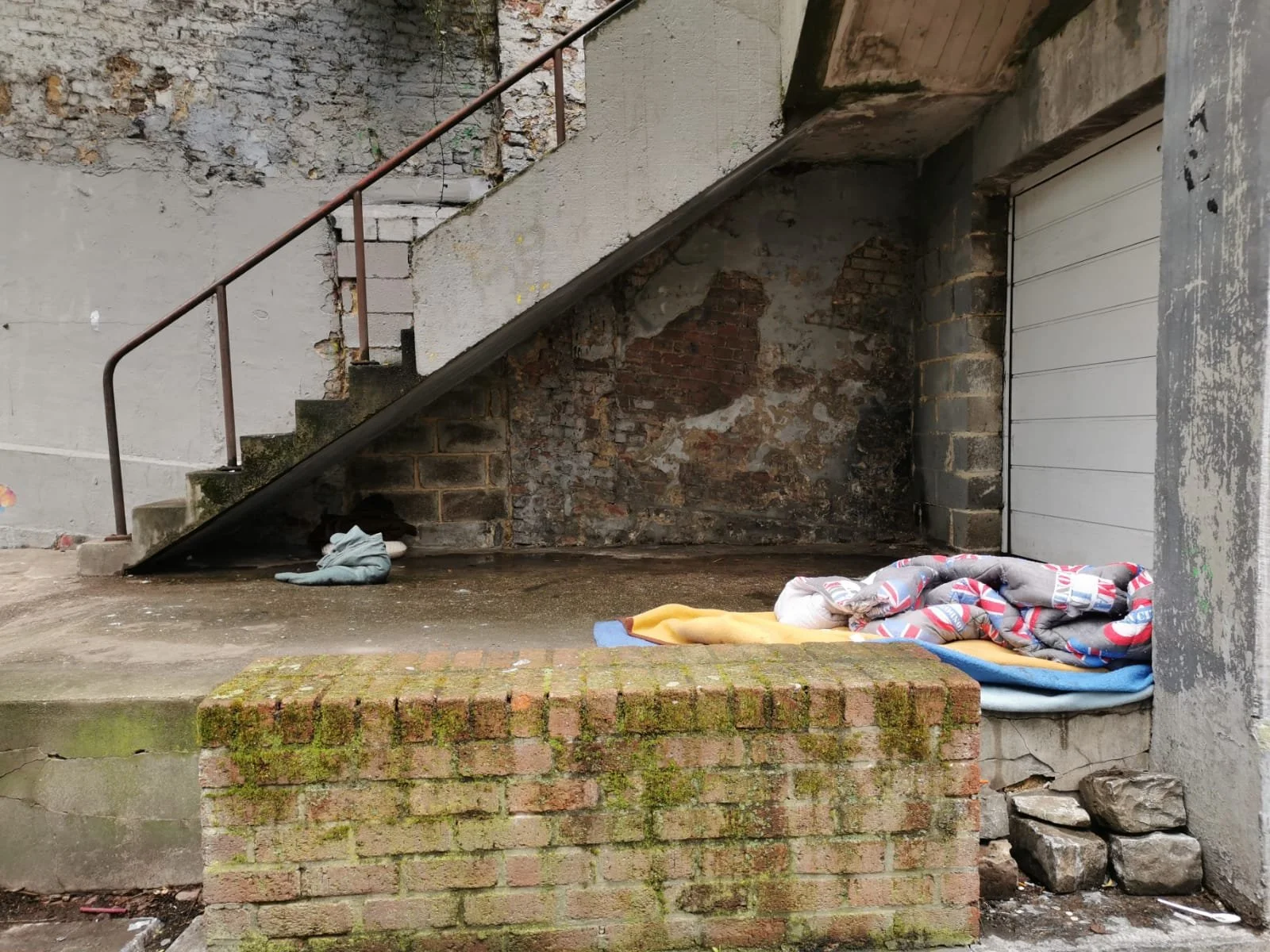 WhatsApp Image 2026-03-20 at 08.08.22 (1).jpeg