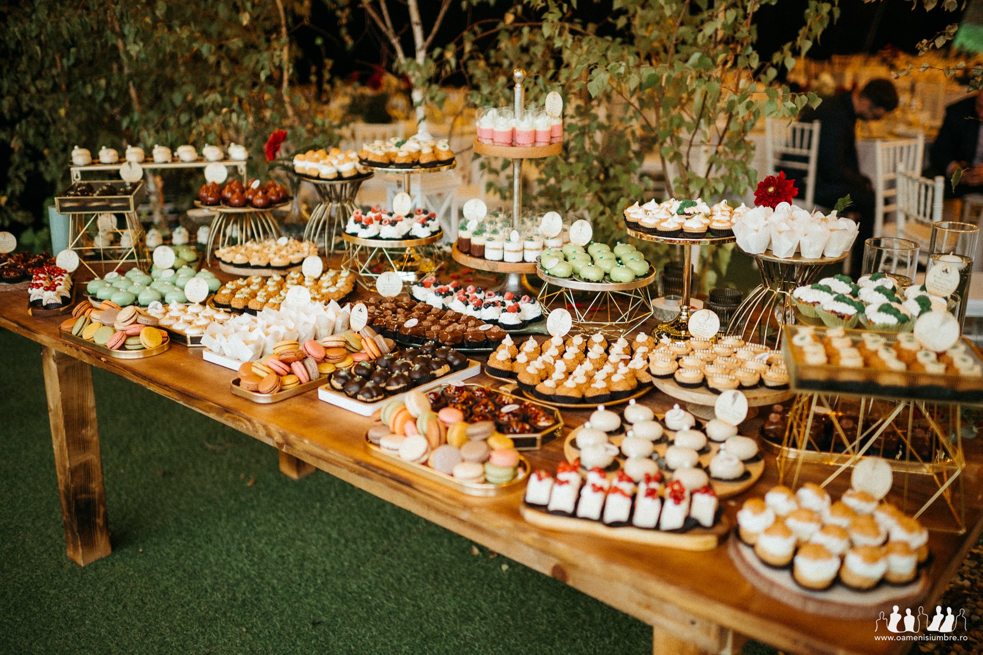 Nunta Lord of the Rings Padurile Regale_7.jpg