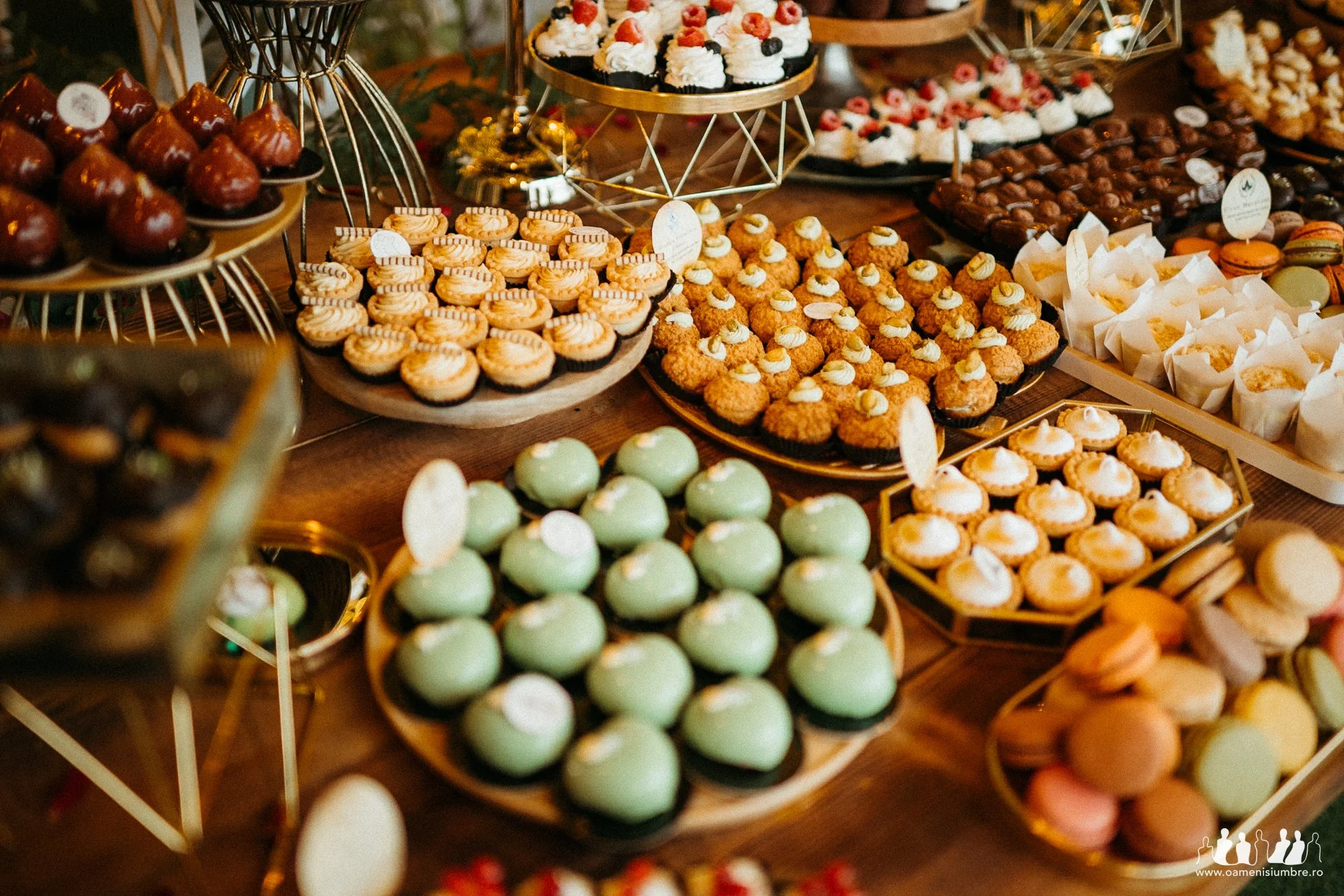 Nunta Lord of the Rings Padurile Regale_8.jpg