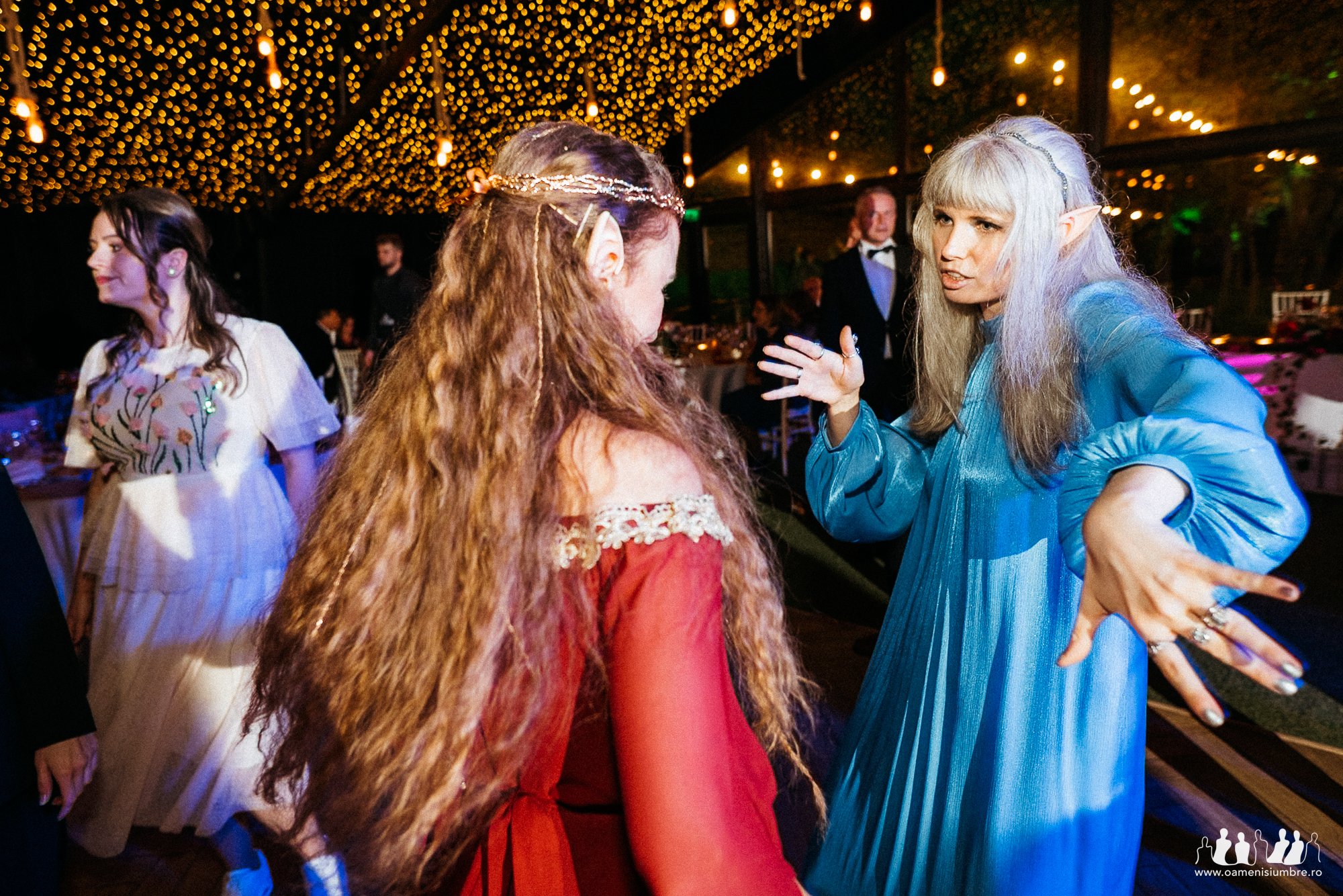 Echipa Foto Video Padurile Regale_7.jpg