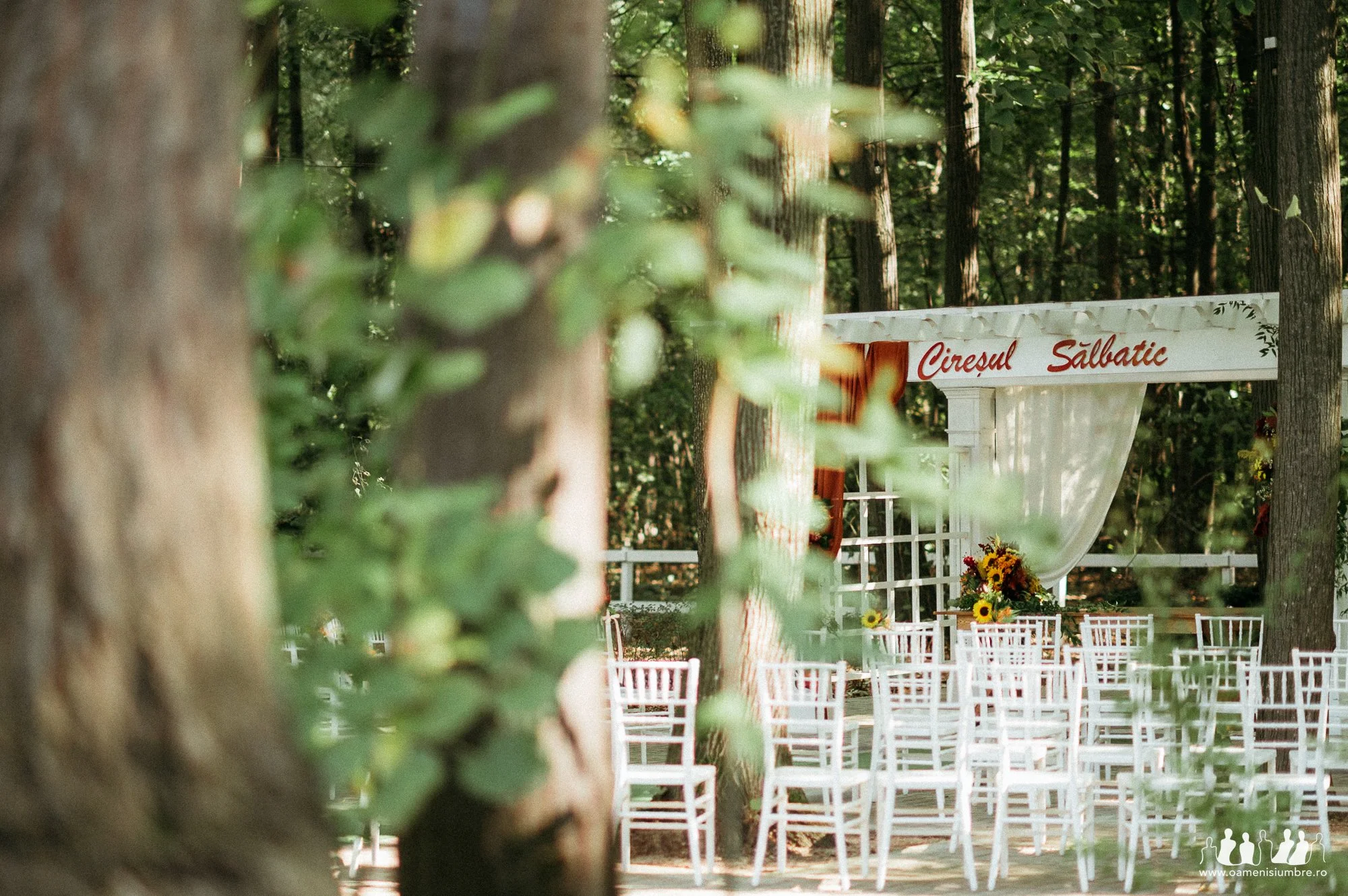 Fotograf de nunta Ciresul Salbatic_5.jpg
