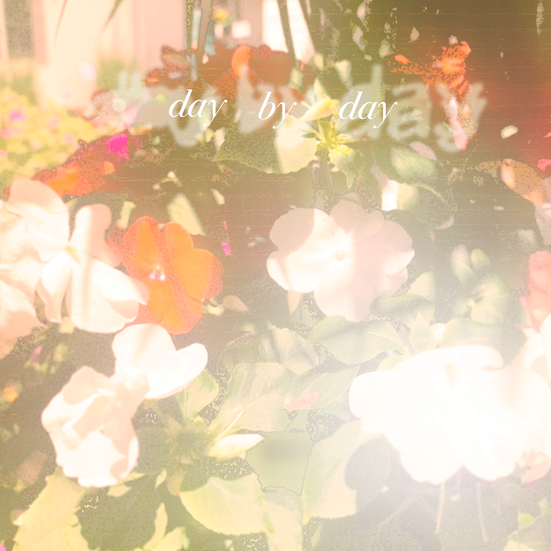 NM_5-2_Day by Day 2.png