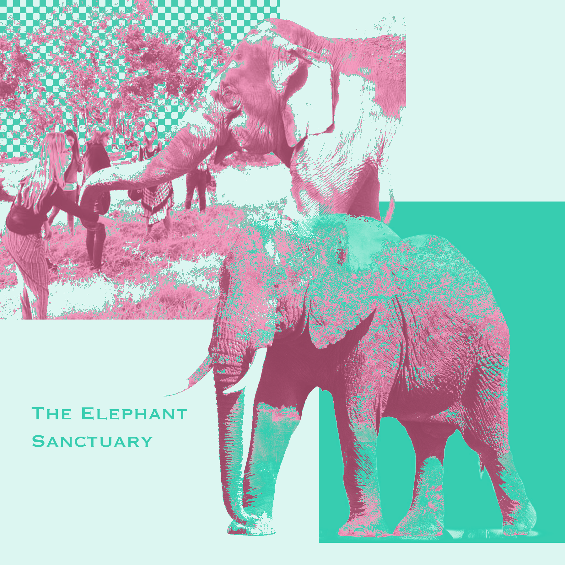 NM_4-1_Colorful Design 1.png