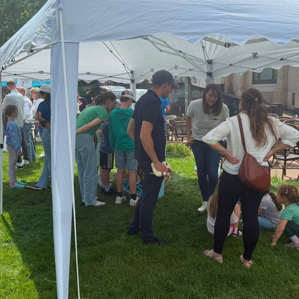 The Great Moneyverse auf dem Kinderinklusionsfest